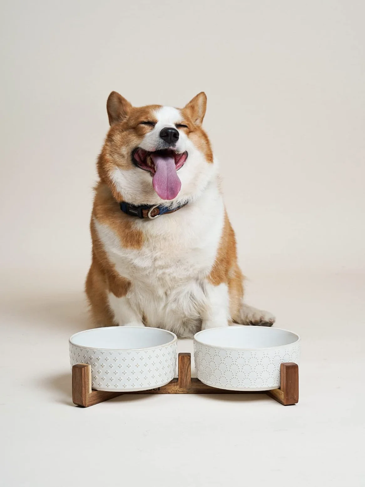 LE TAUCI Lot de 2 gamelles en céramique avec Support en Bois d'acacia, 3 Tasses pour Chat et Chien