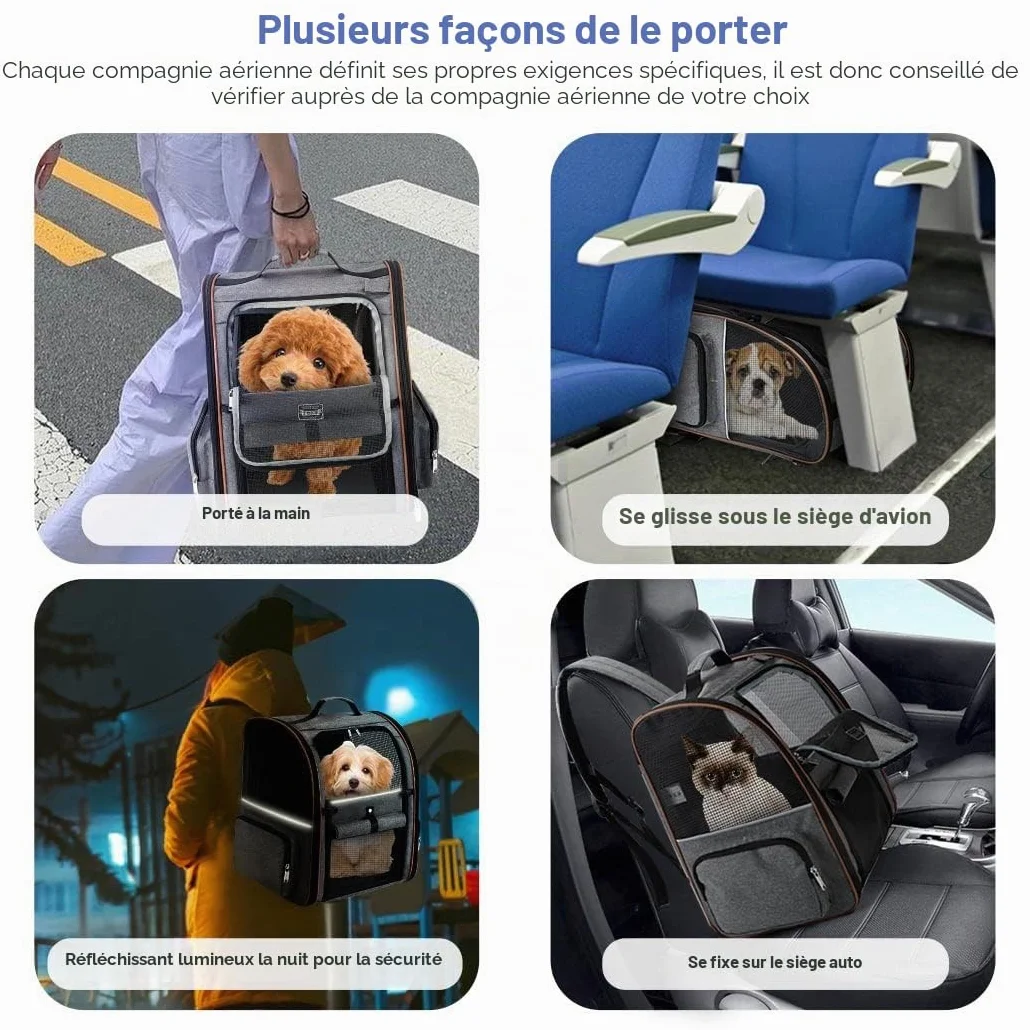 Torba Transportowa dla Kota z 4 Wejściami, Oddychająca, Plecak z Szelkami Wewnętrznymi, Max Obciążenie 8kg, Szary