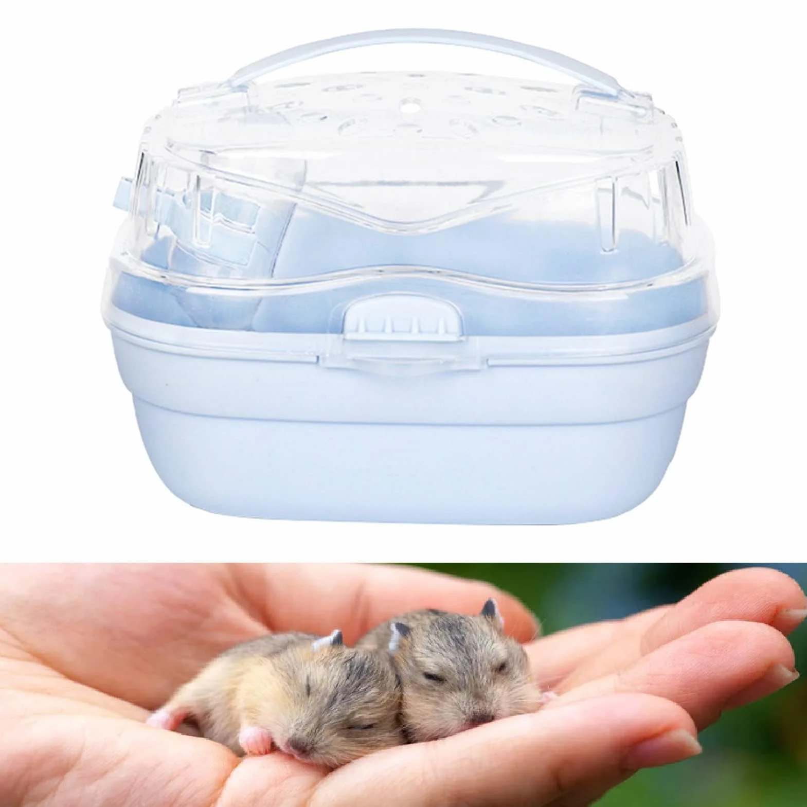 Cage de Transport pour Hamster Portable Voyage Plein Air Bleu crème