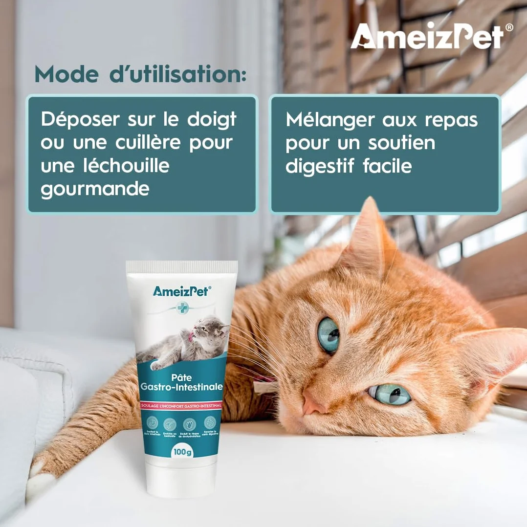 AmeizPet Pâte Gastro Intestinale pour Chats, 100 g – Complément Digestif pour la Santé Intestinale
