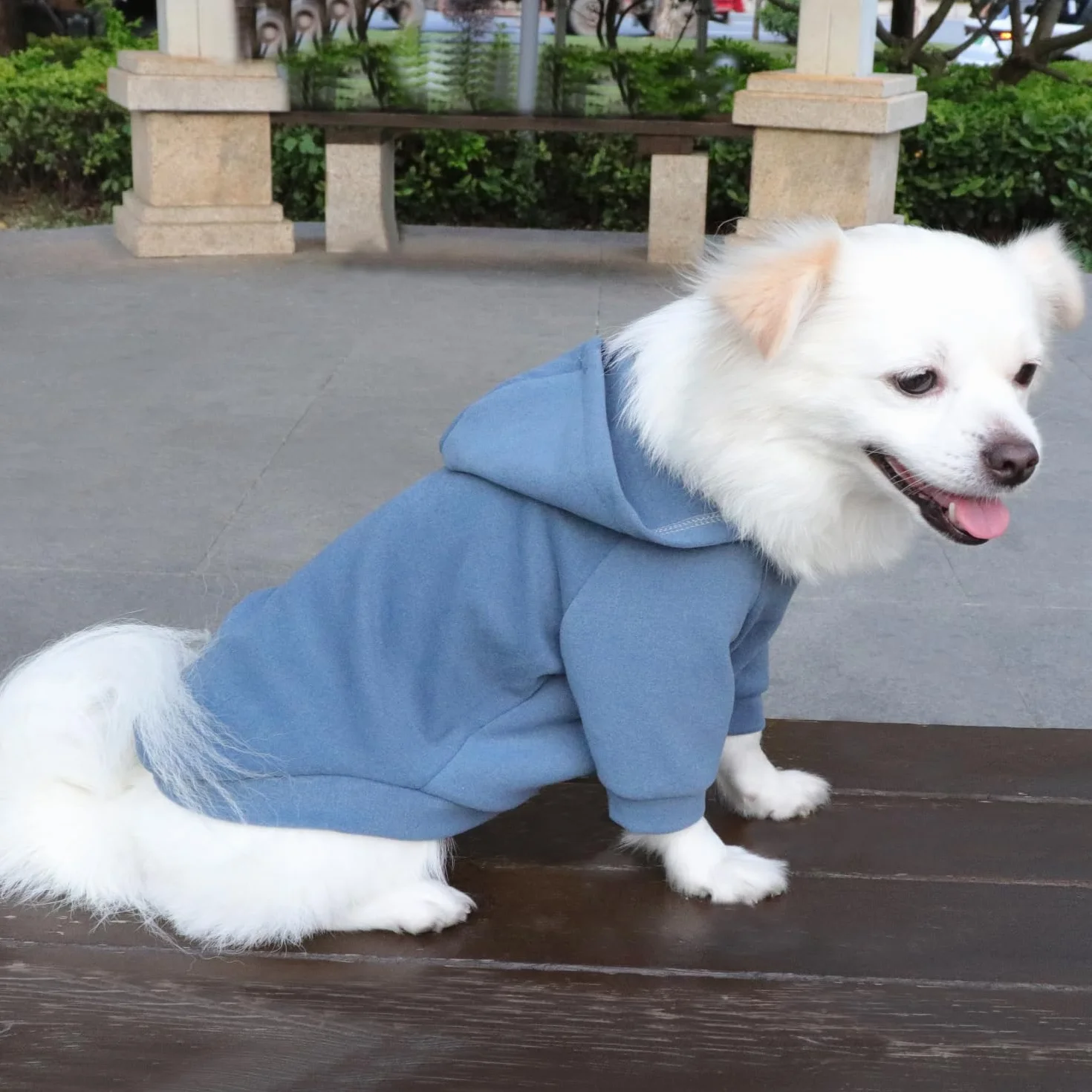 Sweat Capuche Chien XXL Noir Bleu Brume Chaud Léger Tissu Doux