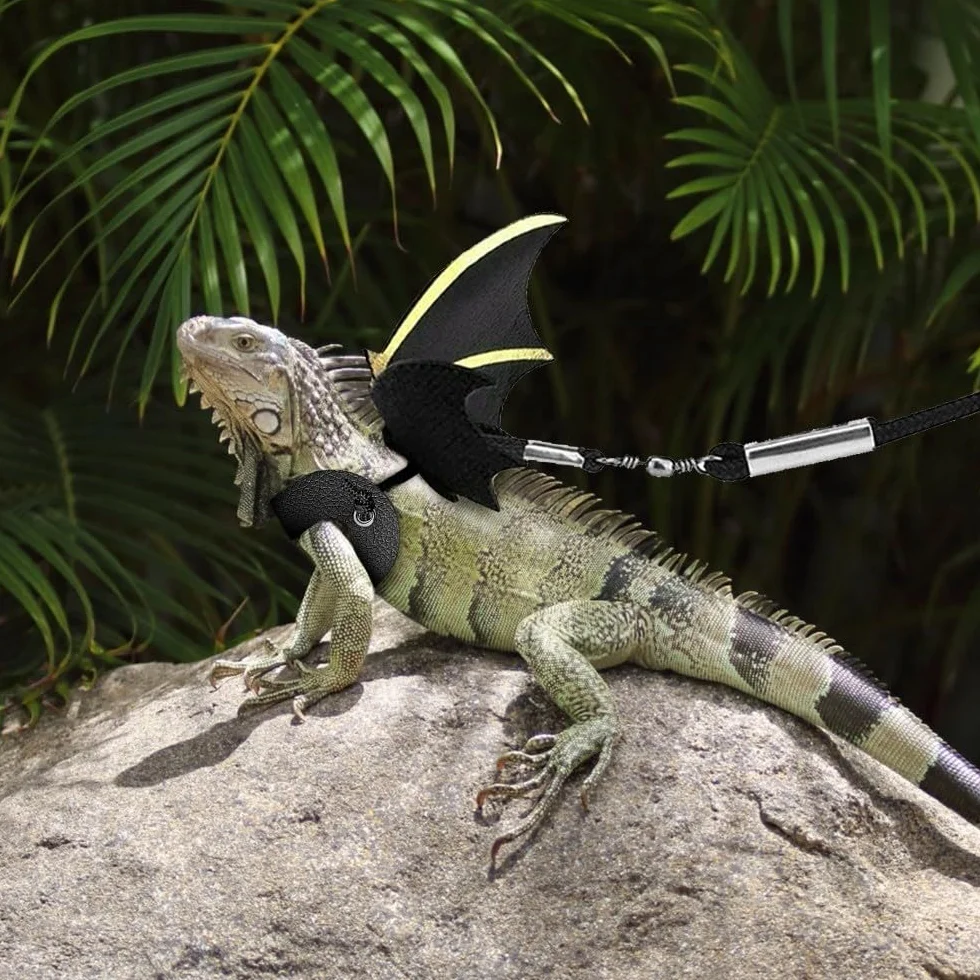 Harnais de Laisse pour Reptiles Lot de 3 Ailes Réglables pour Lézard Dragon Barbu Sécurité Plein Air