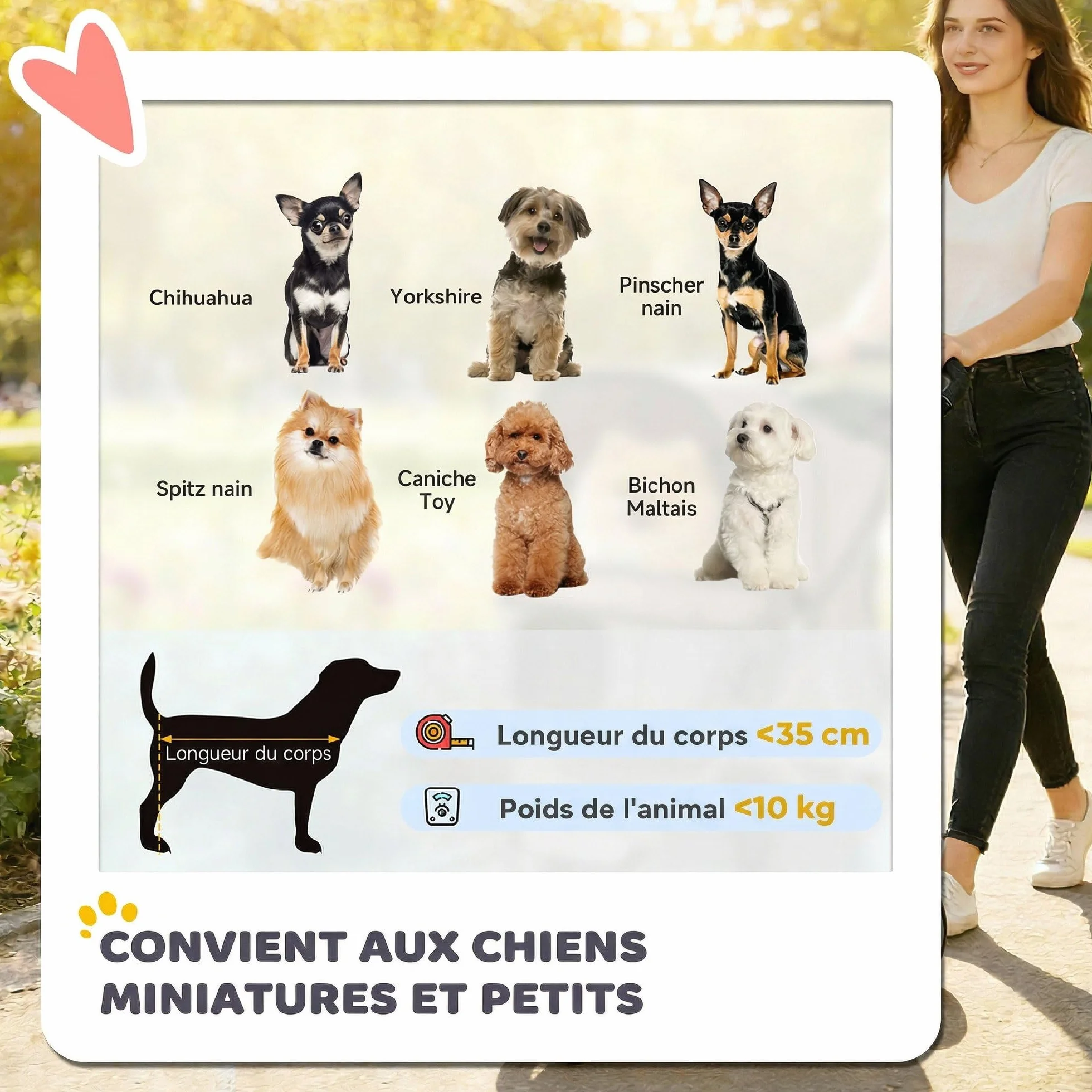 PawHut Poussette pour Chien 4 Roues Pliable avec Frein Auvent Réglable 77x44x102cm Café