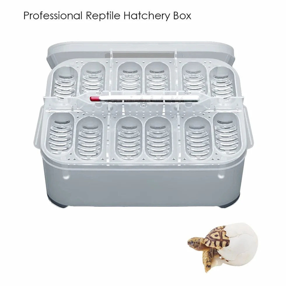 Sakamura Incubateur de Reptiles 12 grilles Professionnel pour Serpents Lézards Éclosion