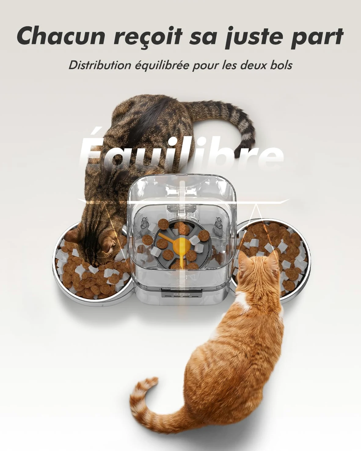Distributeur Croquettes Chat Automatique 2 Bols, 8L Grande Capacité | Croquettes Jusqu'à 18mm, 2 Bols en Acier Inoxydable, Nettoyage Facile, Idéal pour Chats et Chiens Multiples
