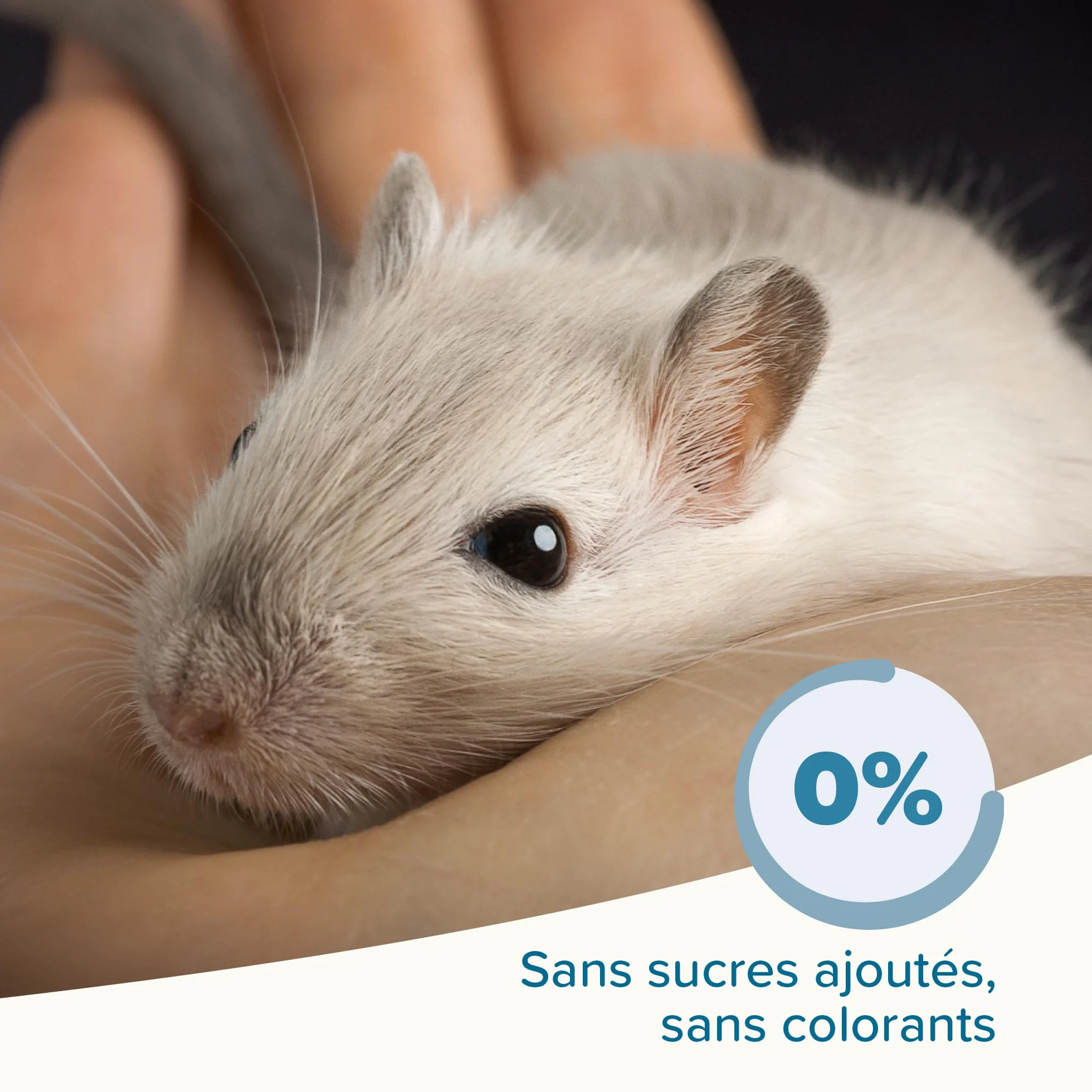 BEAPHAR Care+ Alimentation Super Premium extrudée pour Gerbille et Souris Granulés Tout-en-Un 500g