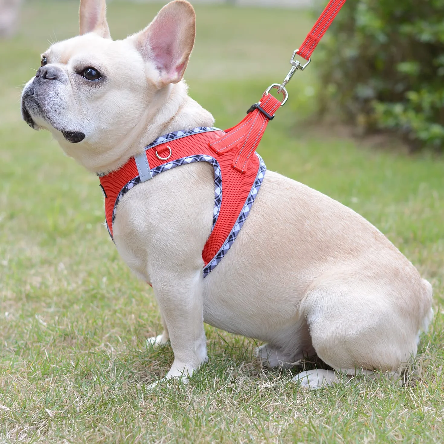 Harnais Chien Réfléchissant Respirant Mesh Doux Confort Réglable avec Laisse pour Petits Chiens Chats Marcher Courir (Rouge, S)