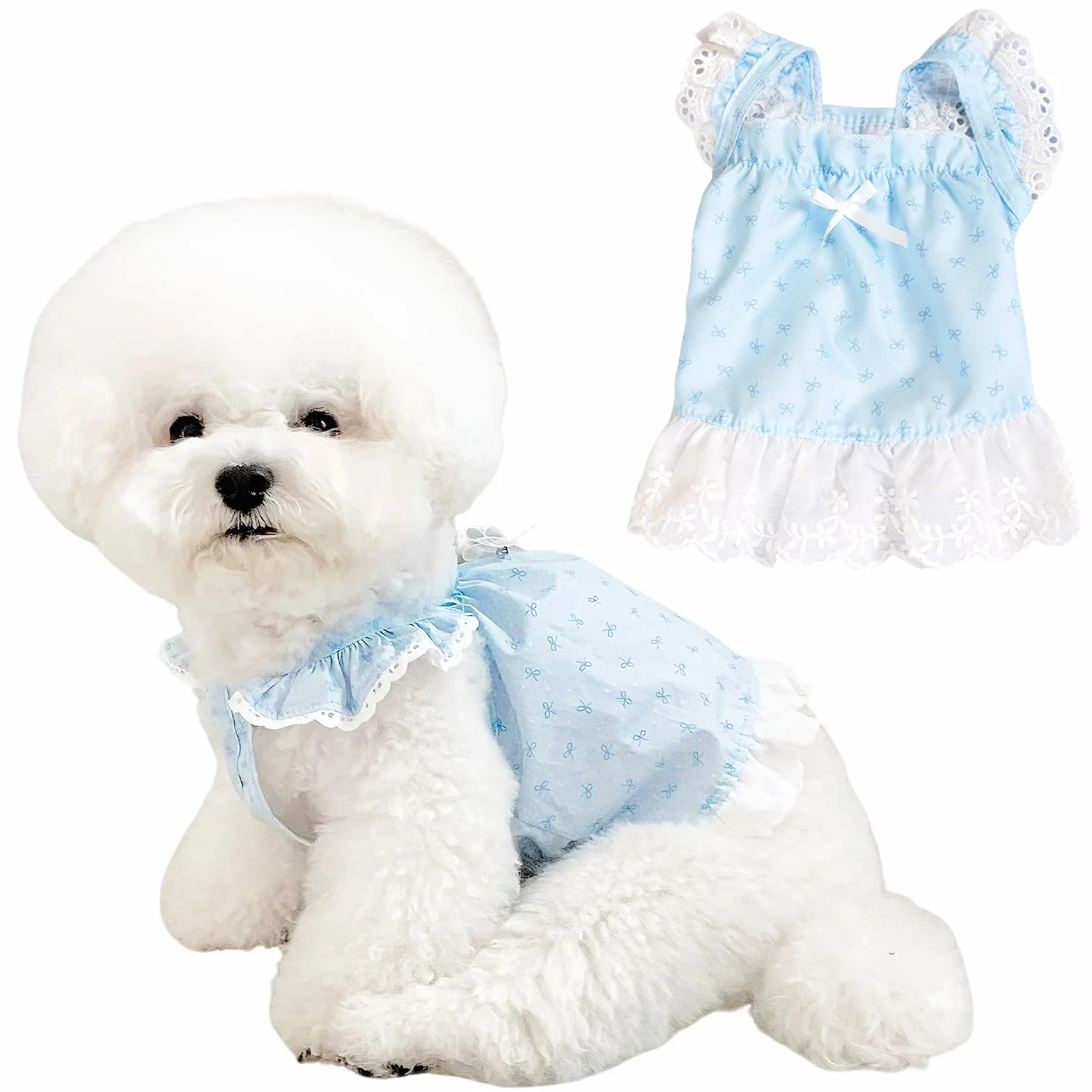 Lot de 2 Robes pour Chien, Vêtements d'Été Imprimé Floral Taille XS, Chemises à Volants pour Petits Chiens, Bleu et Rose