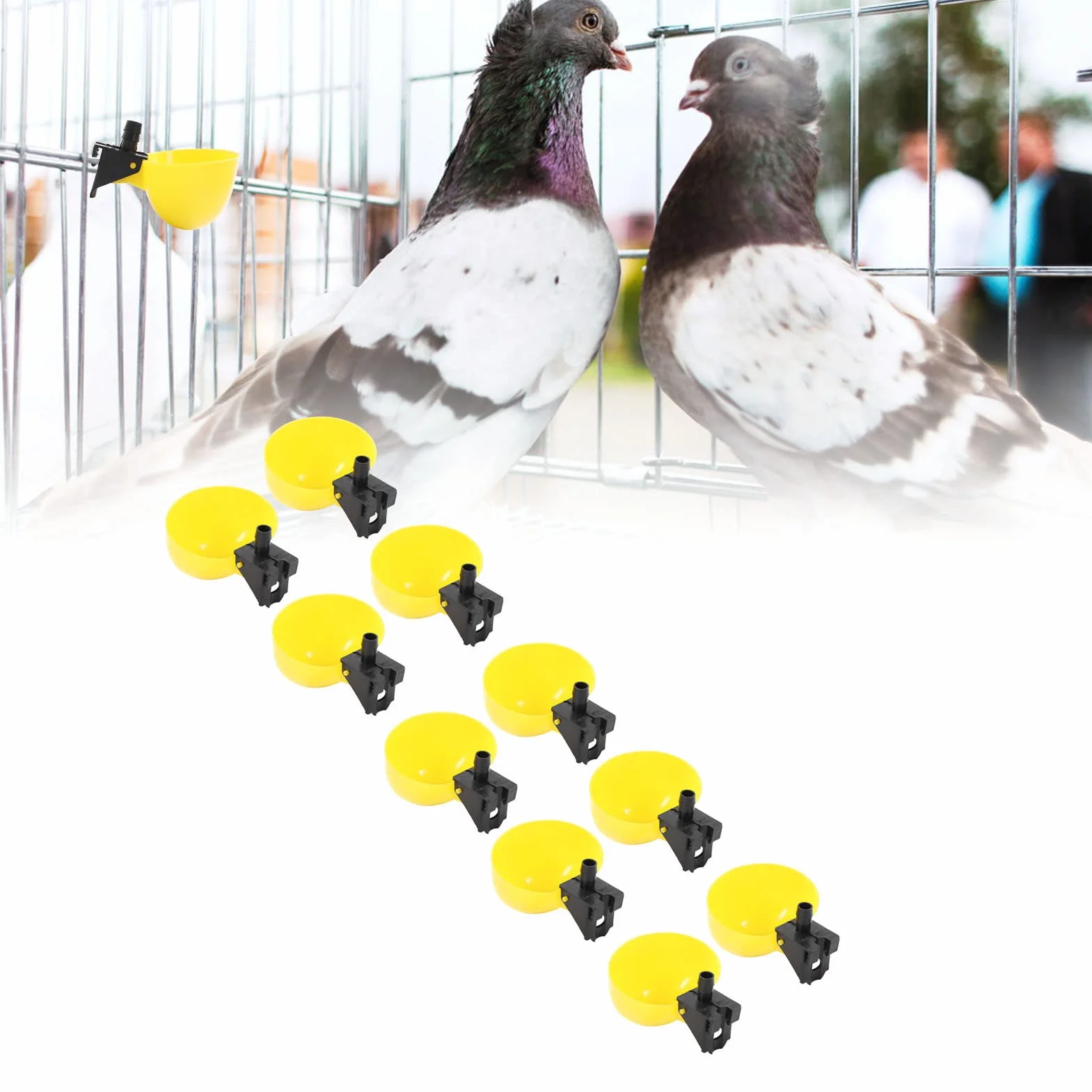 Bol à abreuvoir pour oiseaux 10 pièces distributeur d'eau automatique grande capacité