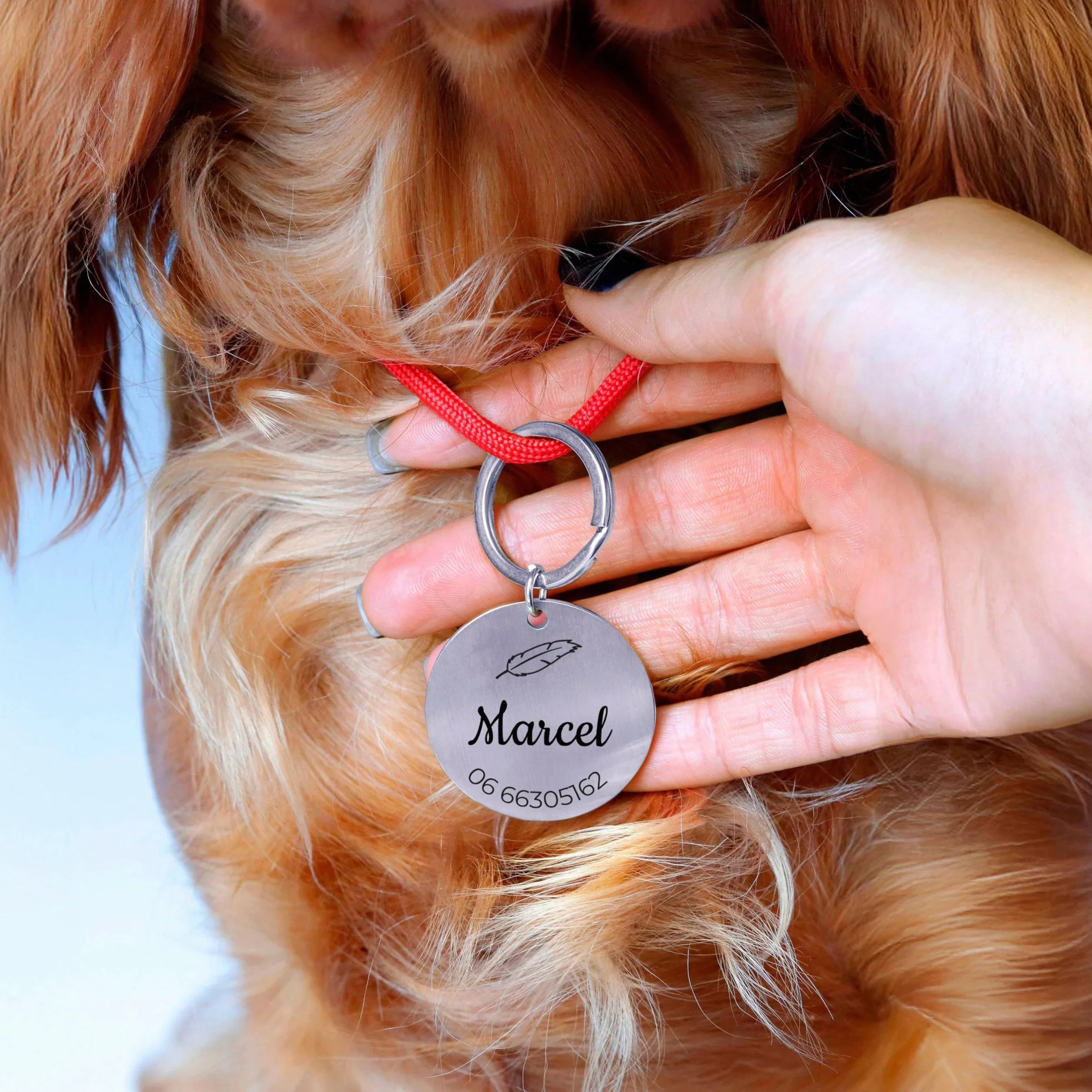 LAUBLUST Médaille pour chien personnalisée avec gravure pour collier - Tailles S, M, L | Cadeau personnalisé avec nom pour chiens et leurs maîtres - Accessoire pour chien | Boîte cadeau incl.