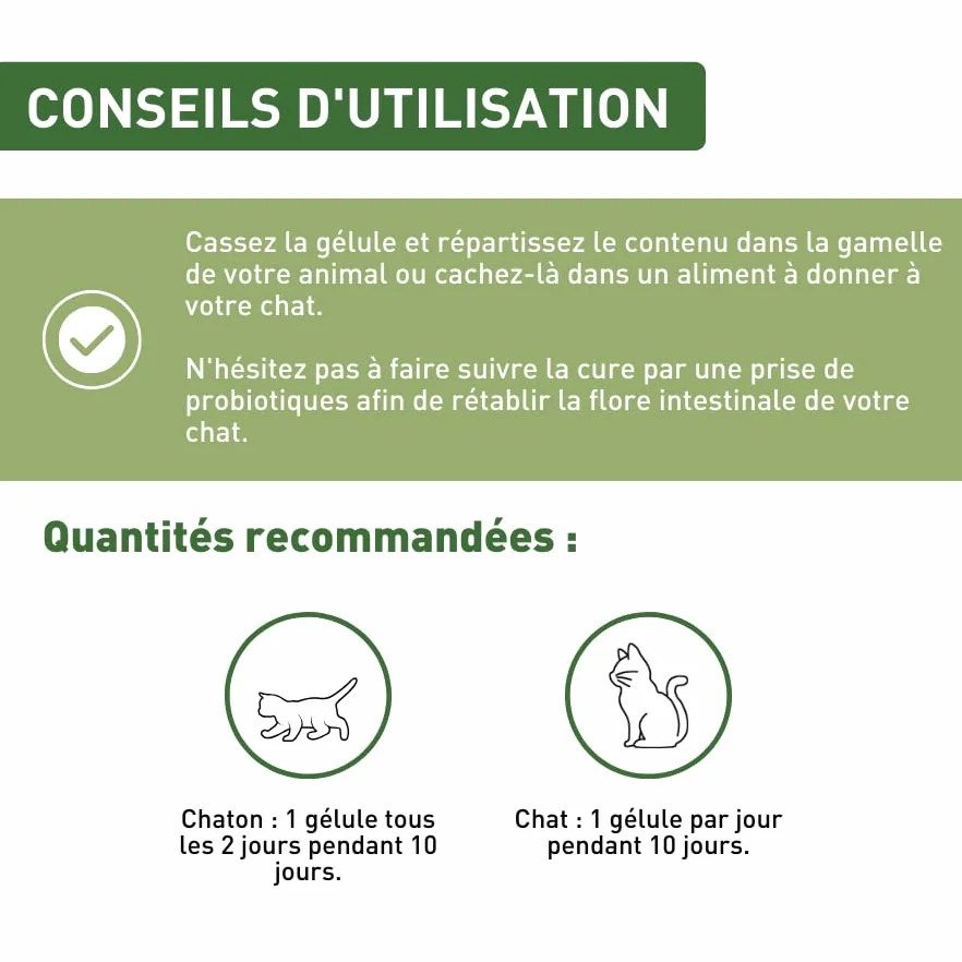Complément Alimentaire levure de bière 3 extraits végétaux 20 gélules Hygiène intestinale Chat Chaton Fabriqué France