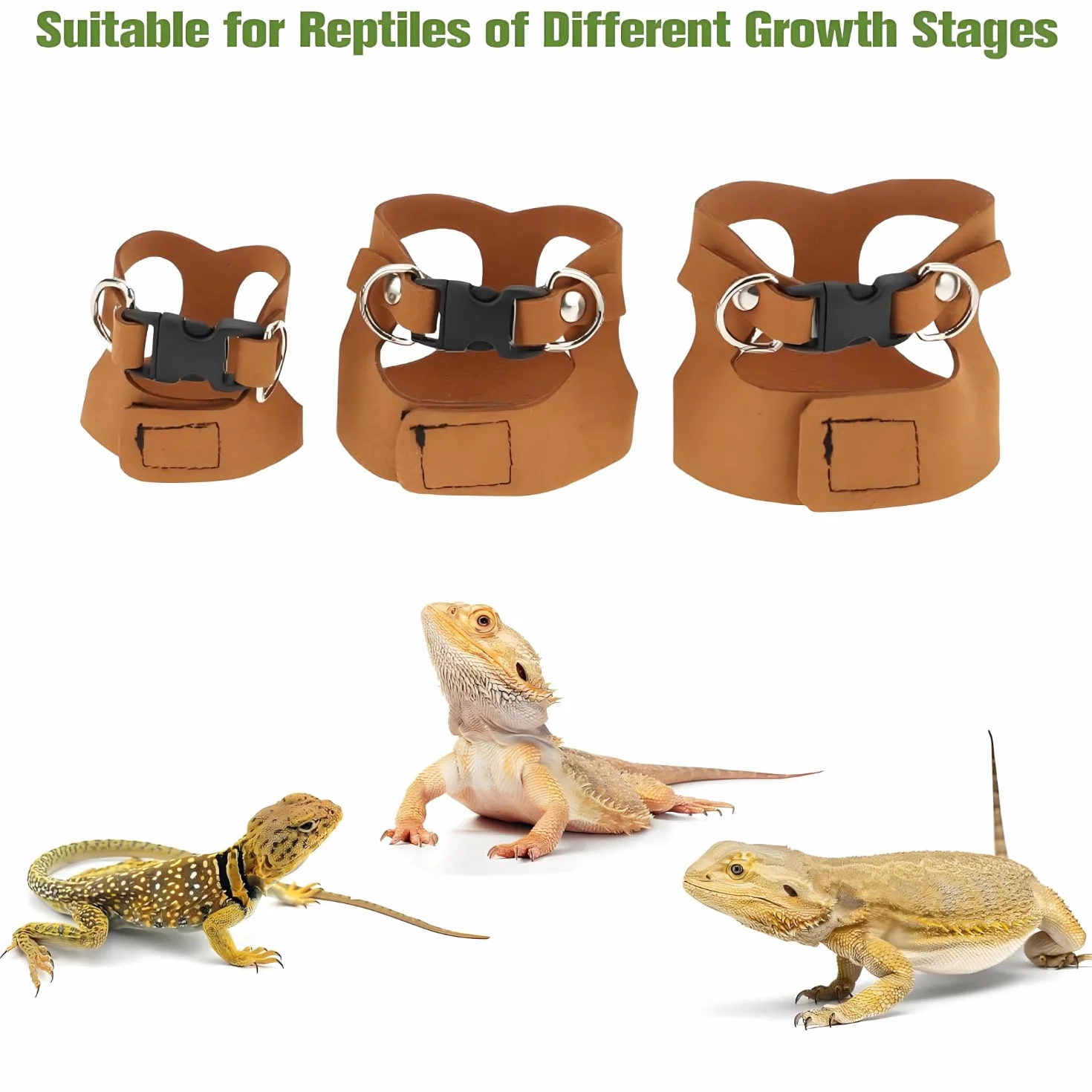 3 Pièces Cochon d'Inde Harnais, Ajustable Dragon Barbu Harnais Laisse, Laisse Réglable Lézard, Ensemble Dragon Barbu, pour Reptiles, Lézards Et Caméléons (Noir)