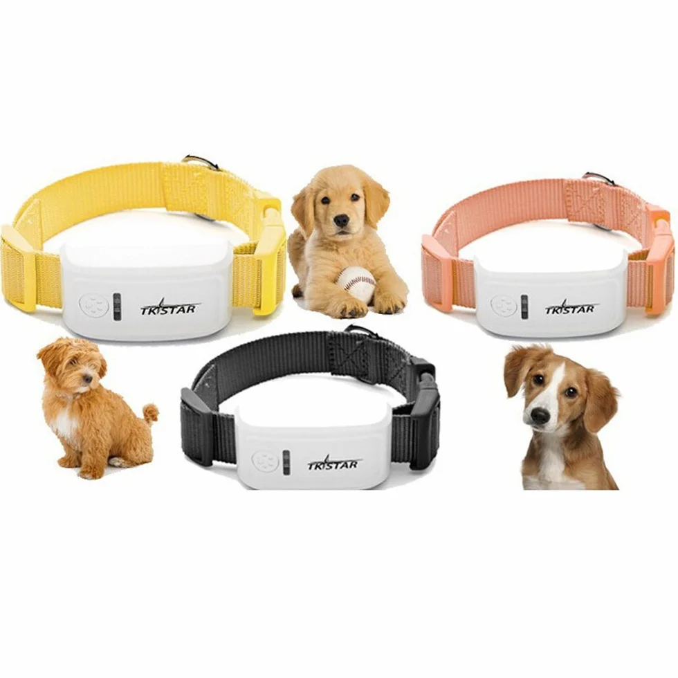 Traqueur en Temps réel Global de GPS d'animal de Compagnie de localisateur de TK909 pour Le Chien de Chien/Chat GPS Dispositif de Suivi de Collier