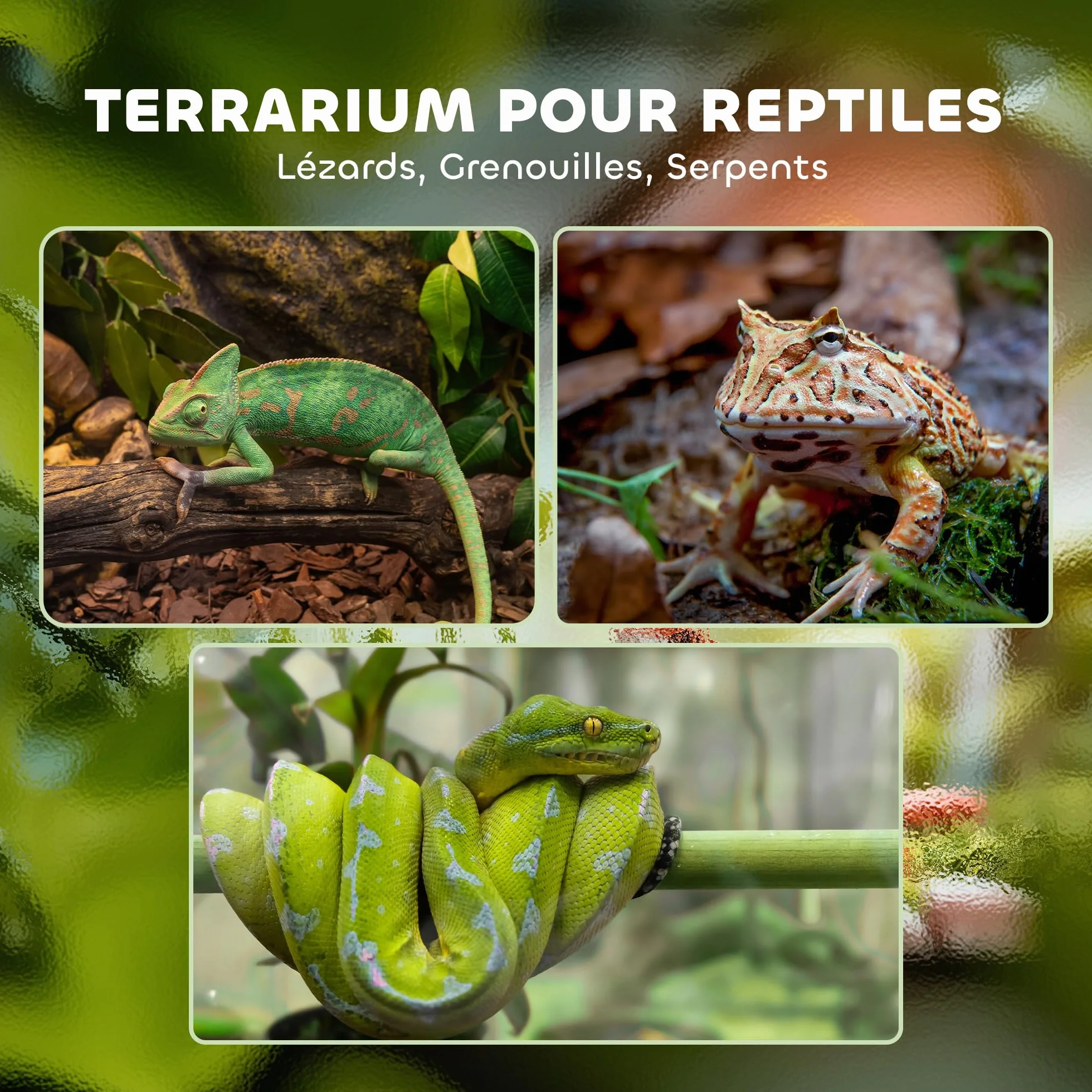 PawHut Terrarium en Verre pour Reptiles Vivarium 12 L avec Couvercle en Treillis métallique 20 x 20 x 30 cm Noir