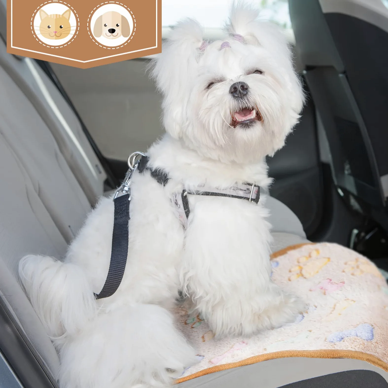 Lot de 12 couvertures chaudes en polaire pour chien et chat avec motif de patte de chien, d'os, d'étoile, d'éléphant, pour petit chien, chat, chiot, couleurs mélangées