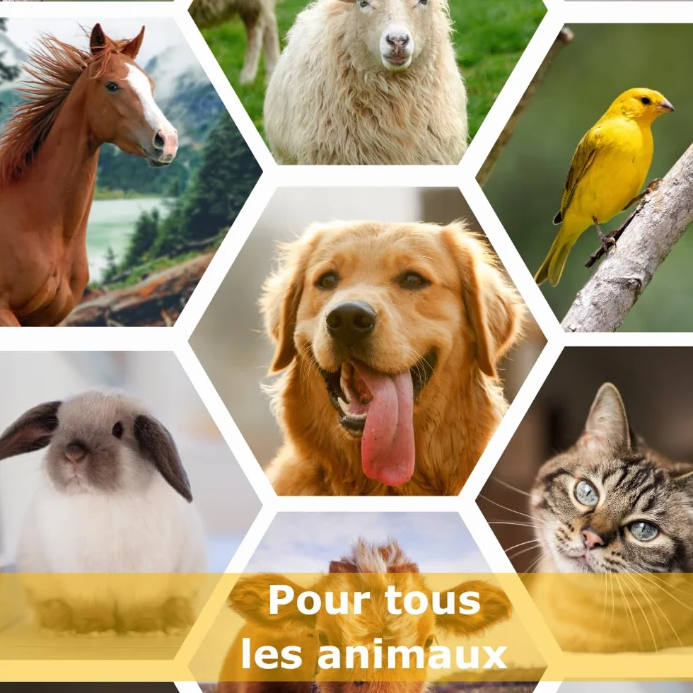 Anidev Vetramil Spray Naturel Protecteur Multi espèces Peaux fragilisées Animaux Miel de qualité médicale huiles essentielles Effet apaisant Protecteur Flacon 100 ML
