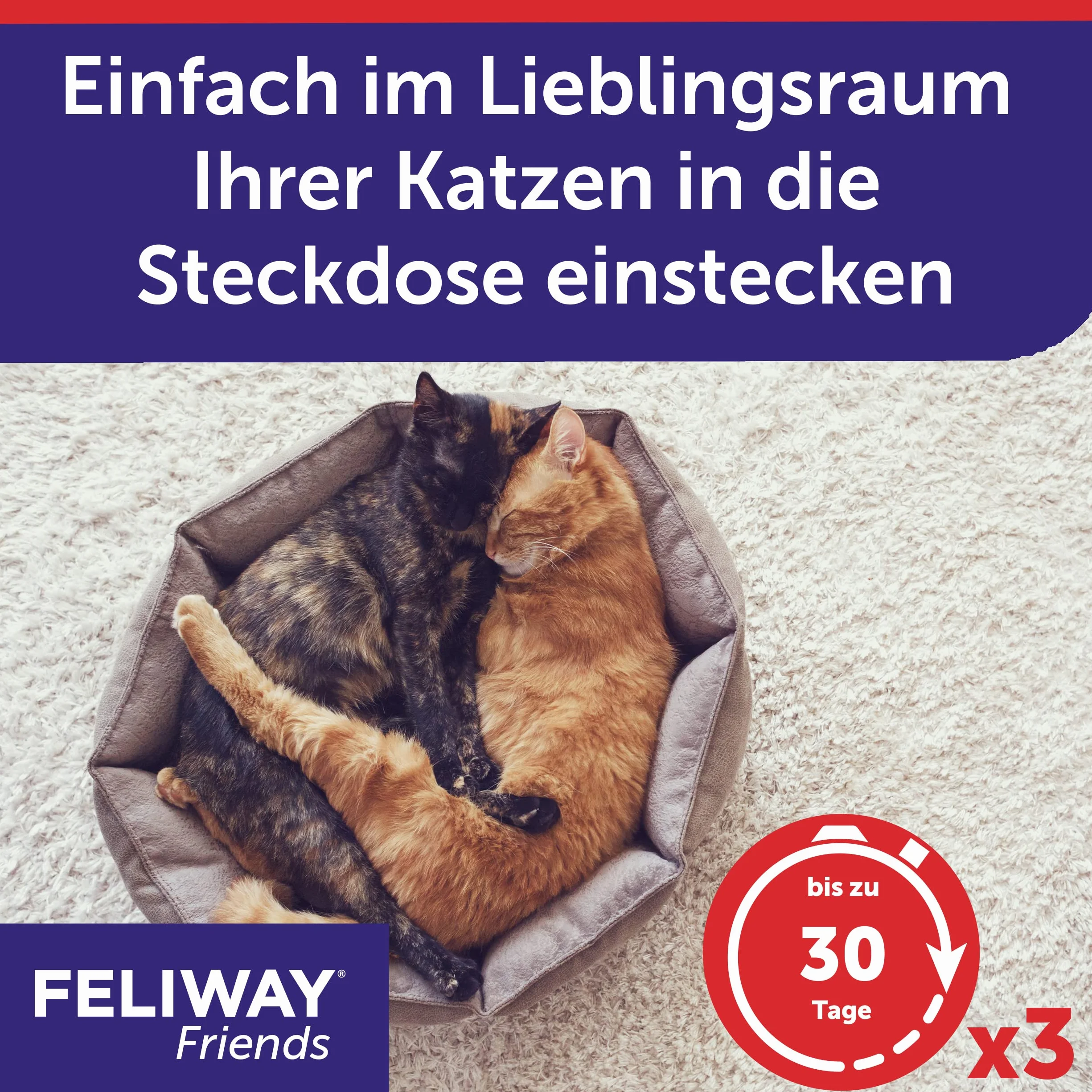 Feliway D89440L Friends 3 x 30 Jours 144 ML