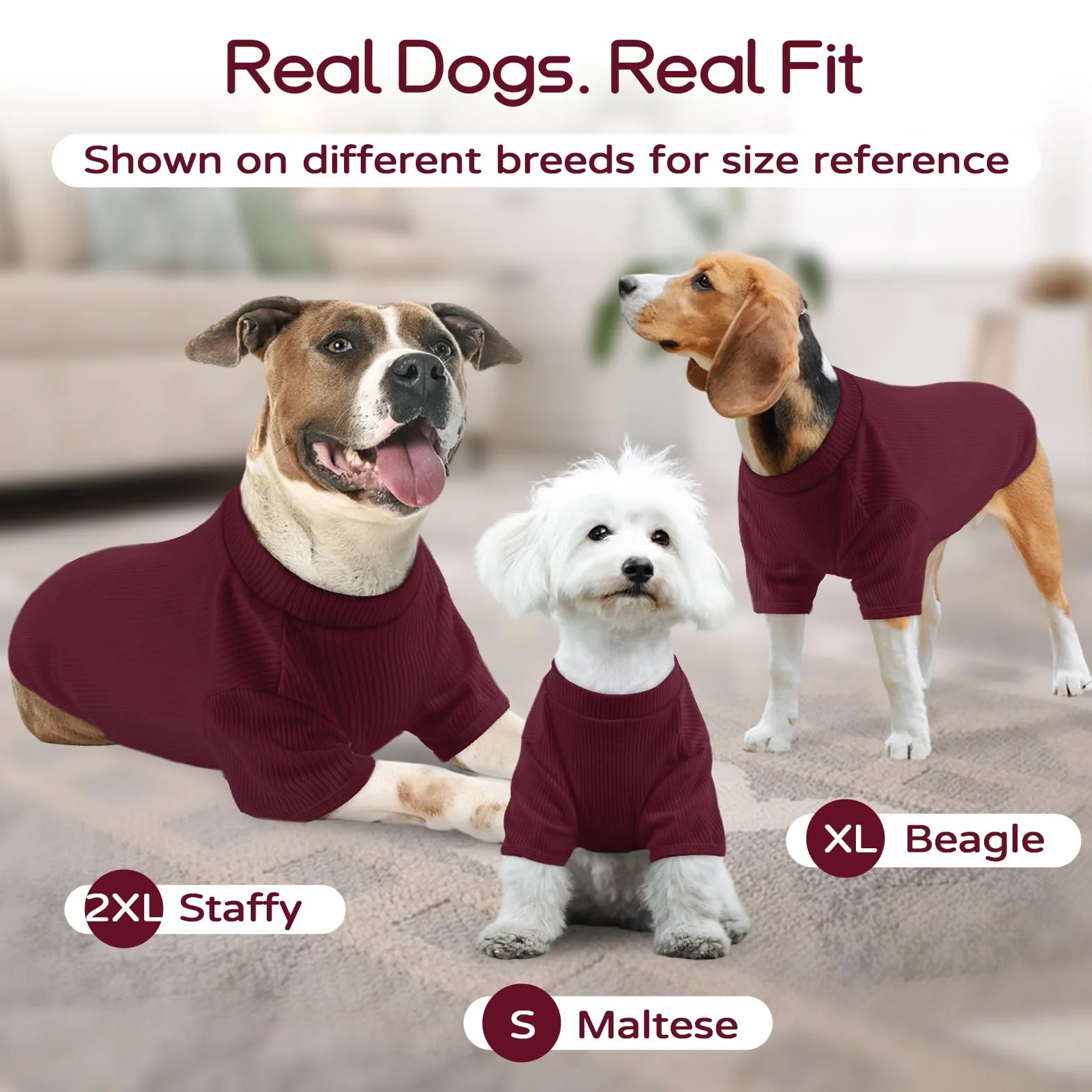 Pull en tricot pour chien L - T-shirt léger pour animal de compagnie Beagle Schnauzer miniature Border Terrier