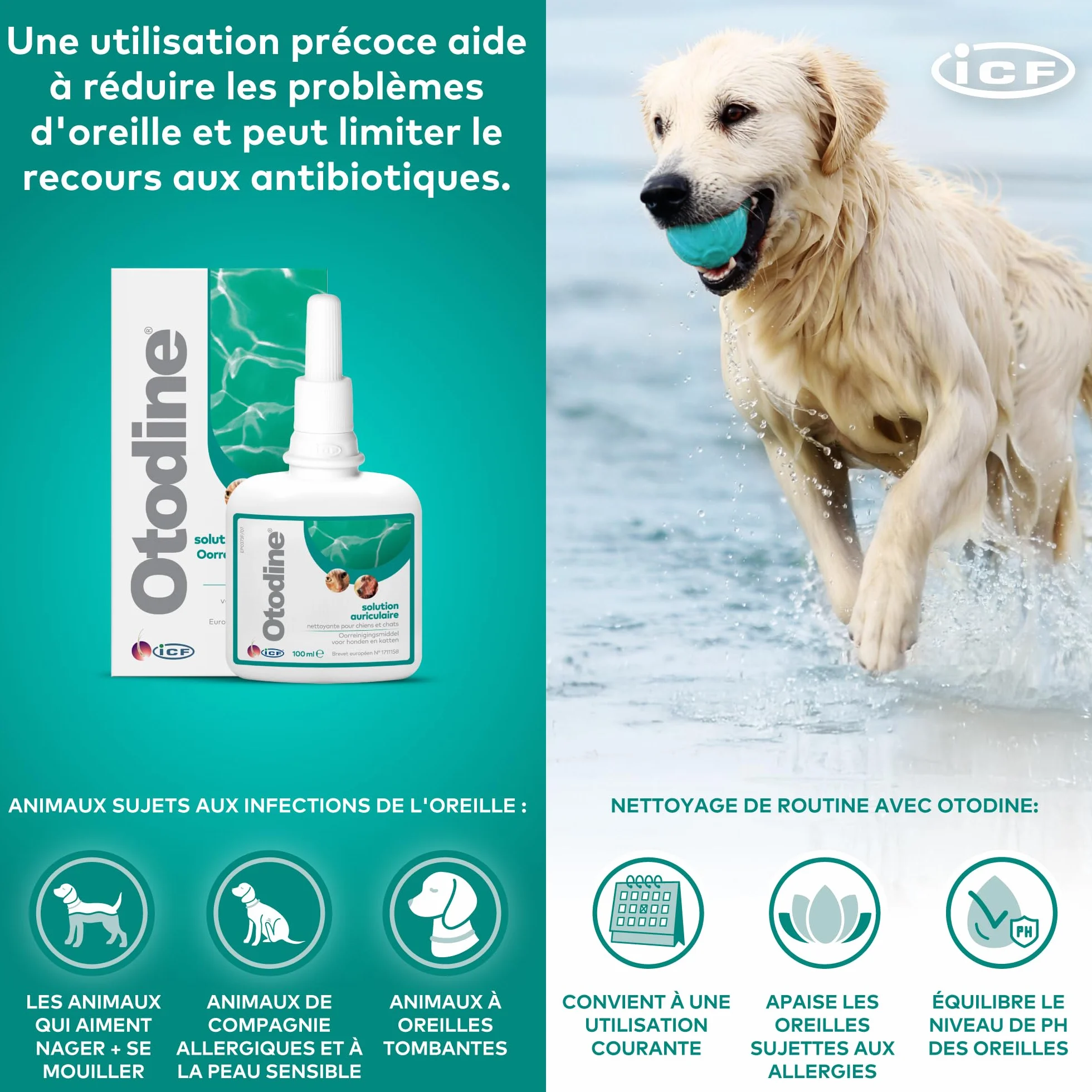 ICF Otodine Nettoyant Oreille Chien Chat 100ml