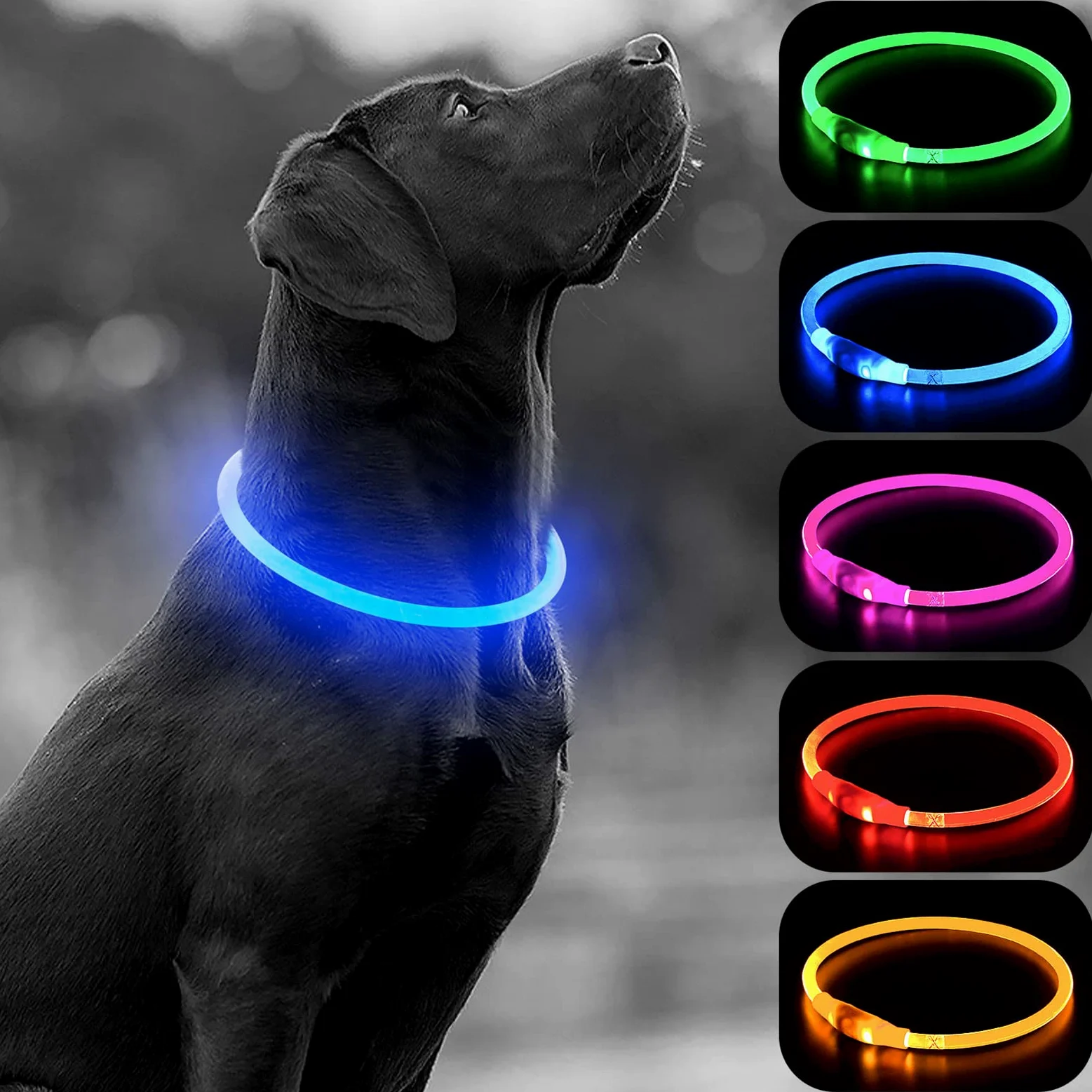 Collier de Chien LED Light Up Collier de Chien Rechargeable USB étanche, Bande de Chien de Nuit avec 3 Modes Lumineux, Rend Votre Chien Visible, sûr et vu (Black, s)