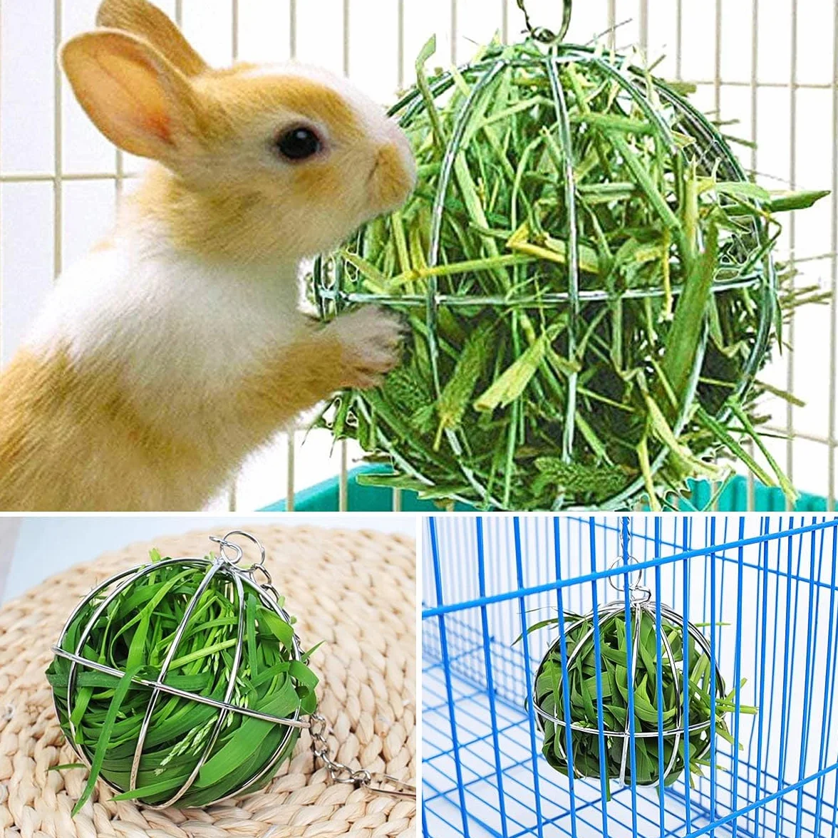 Esteopt Lot de 2 balles en acier inoxydable pour cochons d'Inde hamsters rongeurs