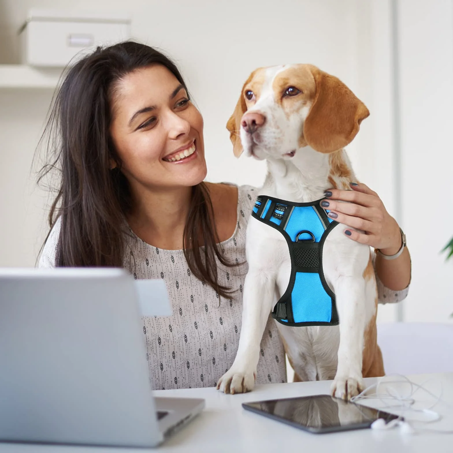Harnais Chien Anti Traction Réfléchissant avec Laisse pour Entraînement en Plein Air
