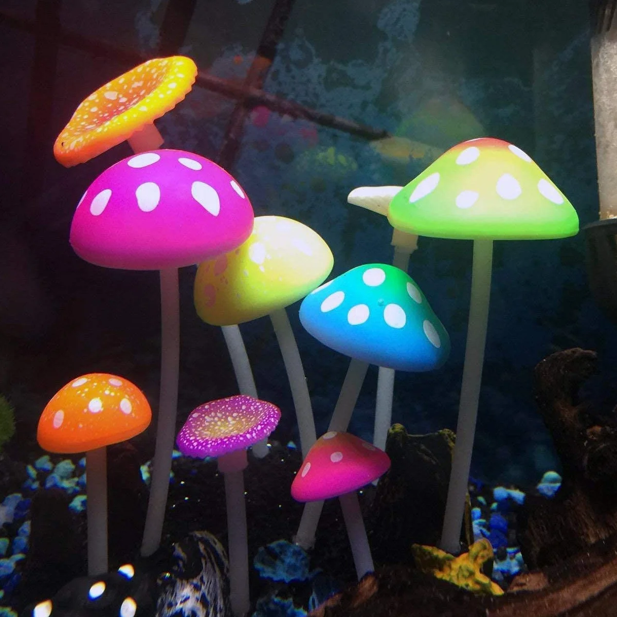 Podazz Lot de 4 Décorations Fluorescentes pour Aquarium, Corail Artificiel et Anémone en Silicone