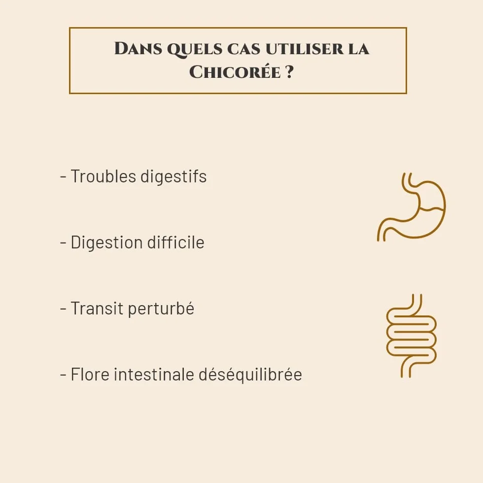 CHICORÉE Complément nutritionnel Cheval Seau 1 kg Digestion Flore intestinale Marque Française