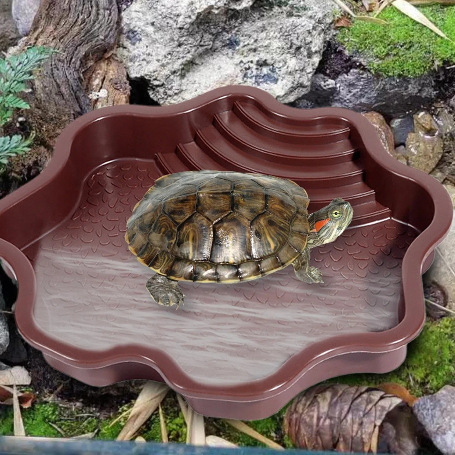 Piscine de baignade pour reptiles avec échelle | Accessoires habitat pour salamandre, dragon barbu, lézard