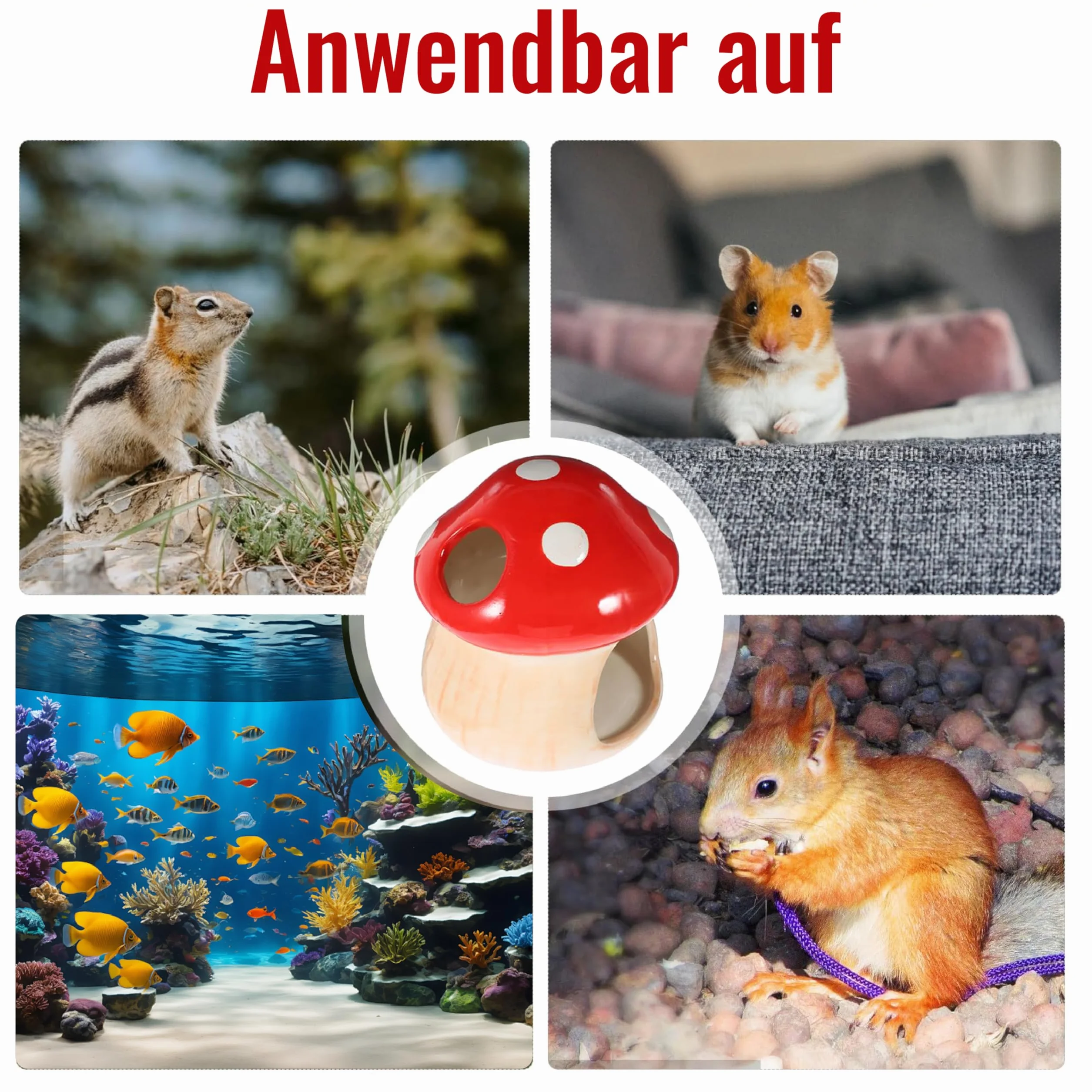 Maison en céramique pour hamster, hamster unique, cachette en céramique, en forme de champignon, pour gerbilles, souris, chinchillas (petite taille)