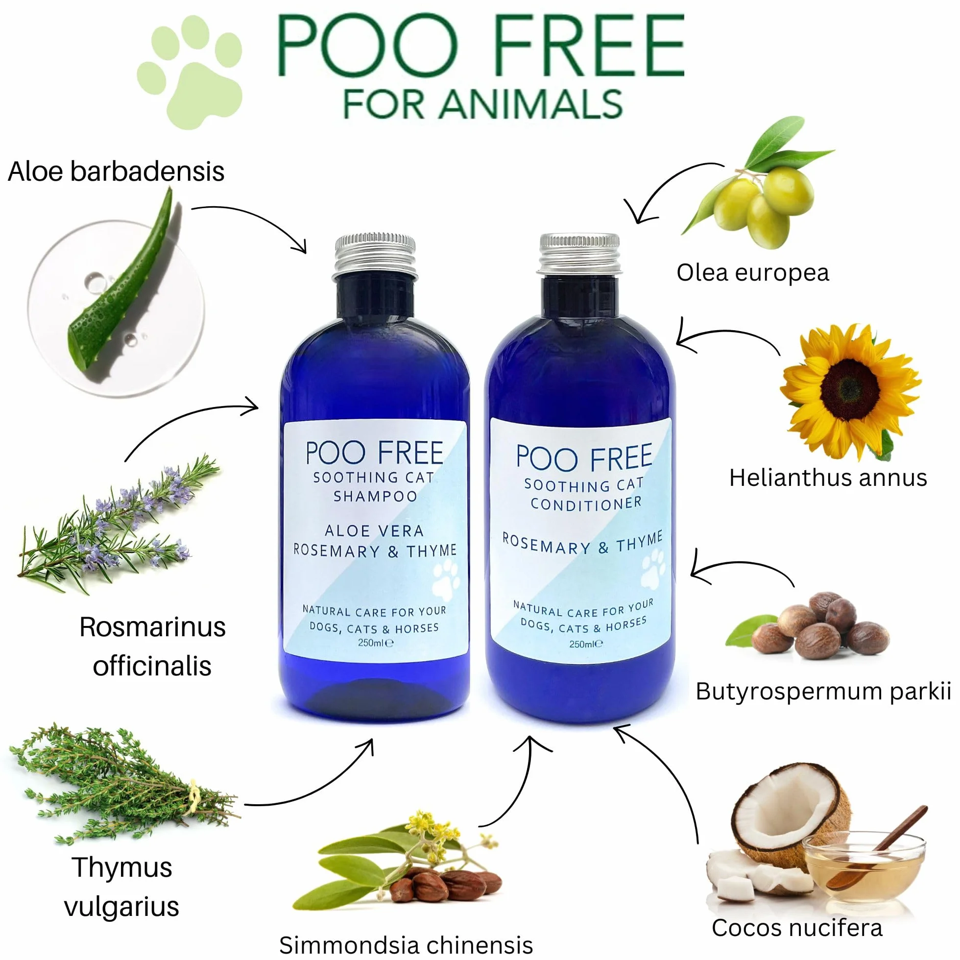 SHAMPOING APAISANT pour Chats 250ml Aloe Vera Thym Romarin sans Sulfates Parabènes Silicone