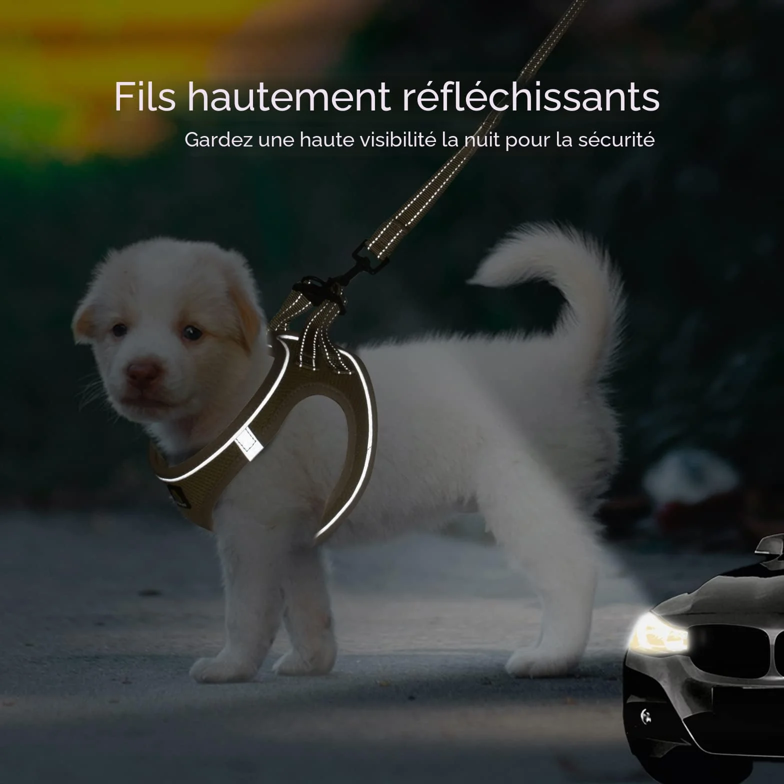 Harnais Anti-Traction pour Petit Chien et Chiot avec Laisse, Ajustable Sans Étranglement, Maille Aérée, Bande Réfléchissante, Kaki, Taille S
