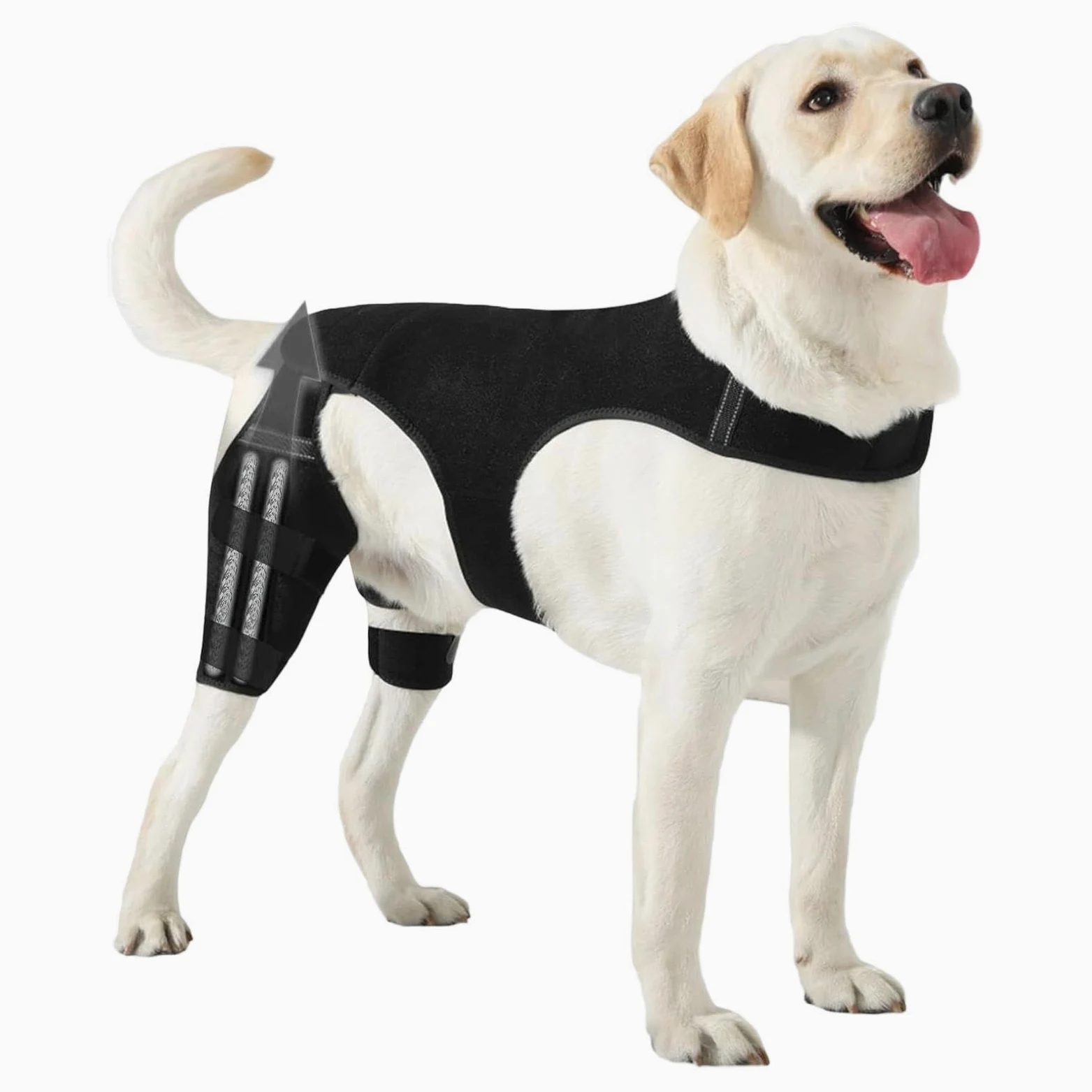 Genouillères pour Chien Patte Arrière Bandage Articulaire Réglable | Support Pour Patte Arrière De Chien Avec 4 Stabilisateurs En Métal Pour Marche Randonnée Exercice Activités Extérieures Parc