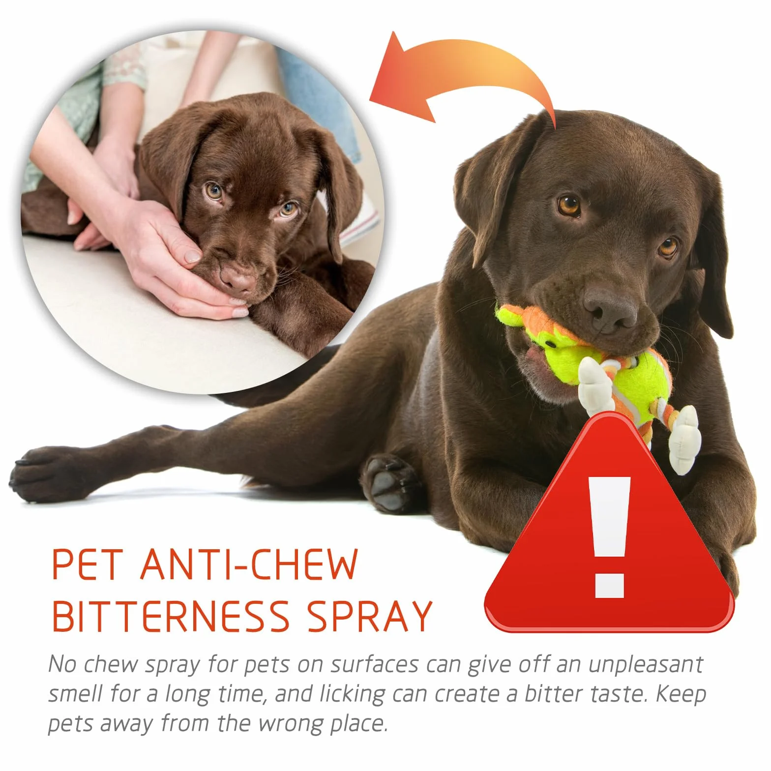 Spray Anti-griffure Chat Chien Dissuasif Antimastication 120ML