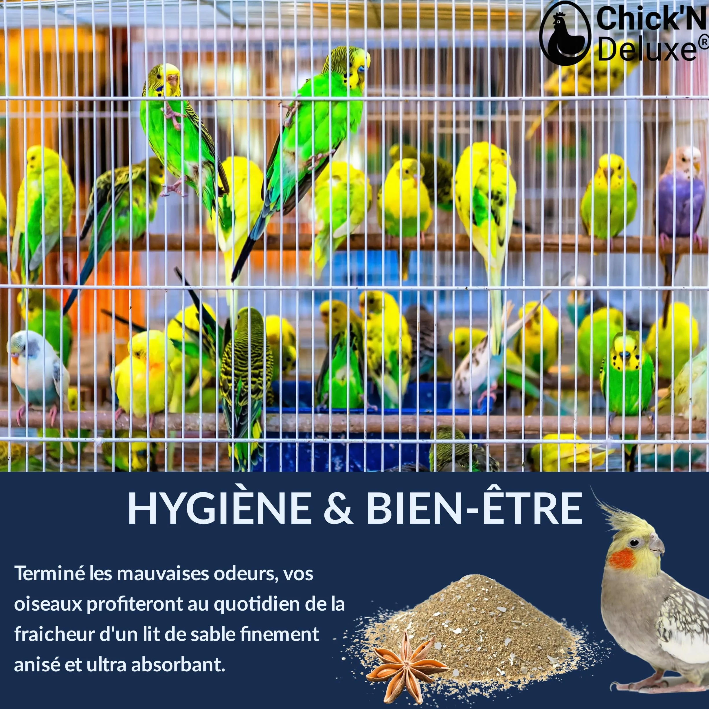 Chick'N Deluxe Sable Marin 5Kg Fond de Cage Oiseaux Enrichi Coquilles Huitres Broyées Aromatisé Anis 100% Naturel