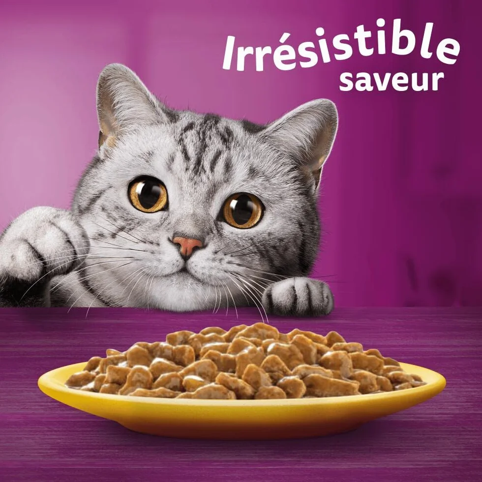 WHISKAS Aliment humide en sauce Chat senior 7+ 12x85g Festins à la Volaille (Lot de 4) 48 Sachets