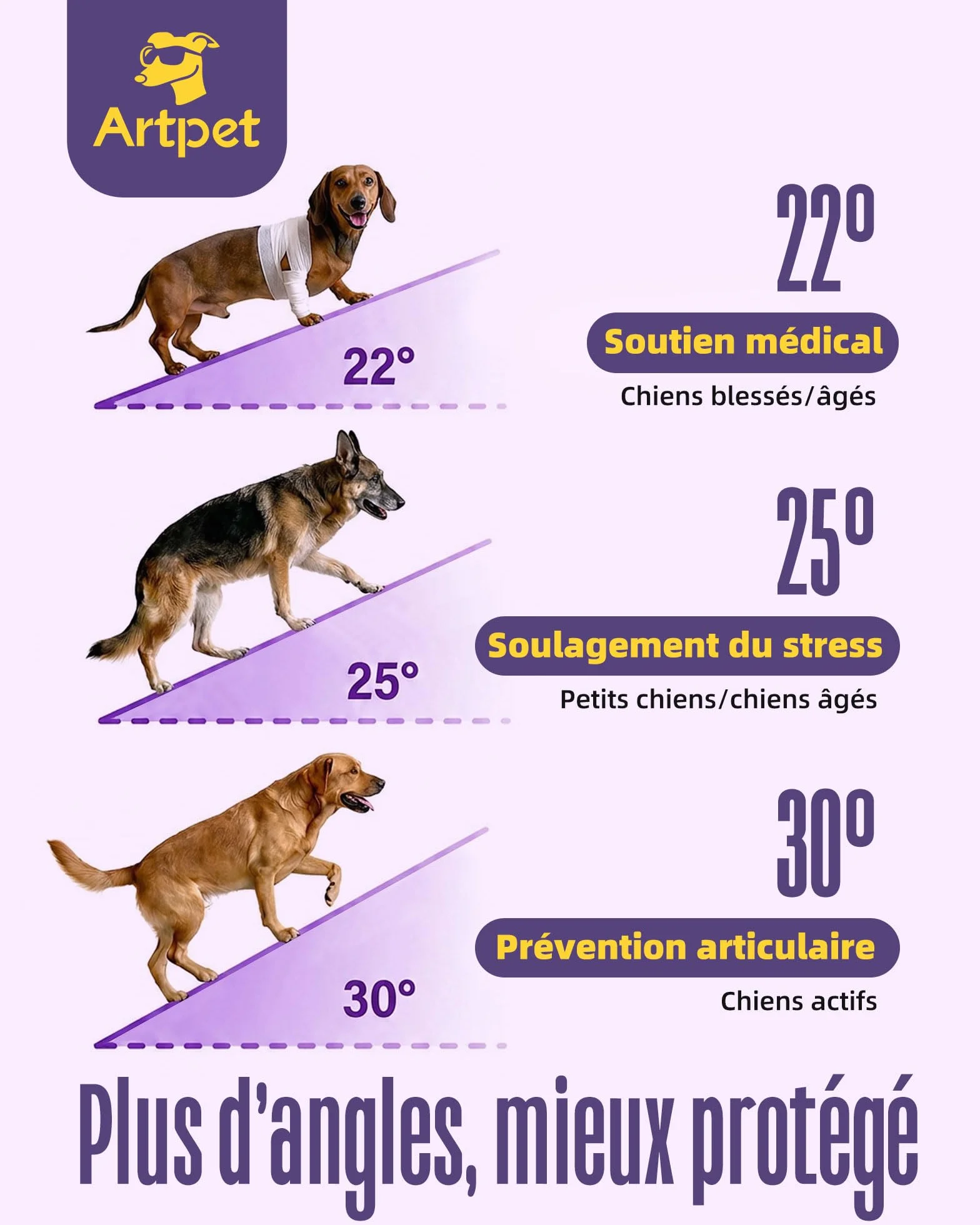Rampe pliable antidérapante pour chien, hauteur réglable, supporte jusqu'à 15,9 kg