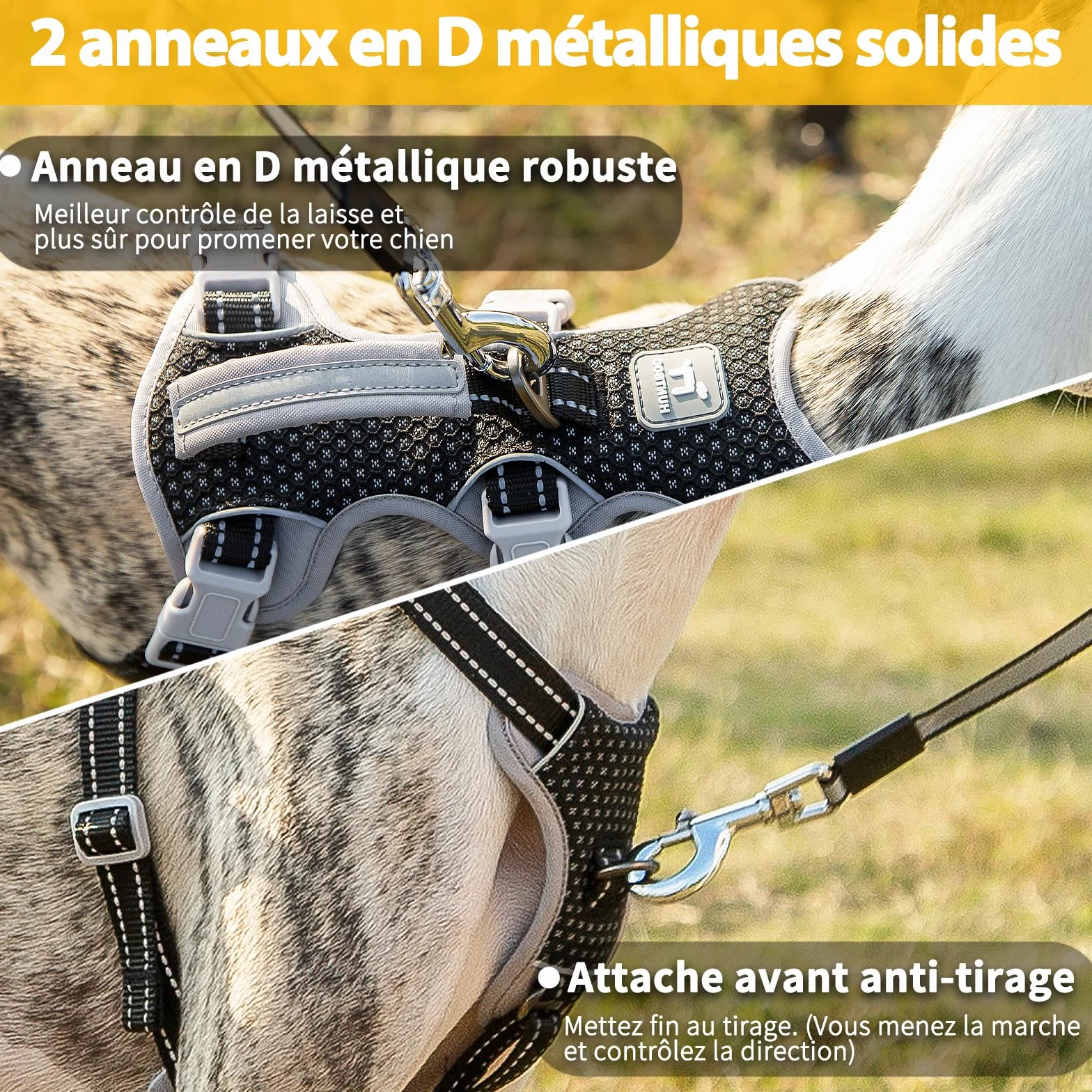 Harnais Anti-Fugue pour Chien Entièrement Réfléchissant avec Poignée, Respirant, Durable, Gilet Réglable pour Chiens de Taille Moyenne