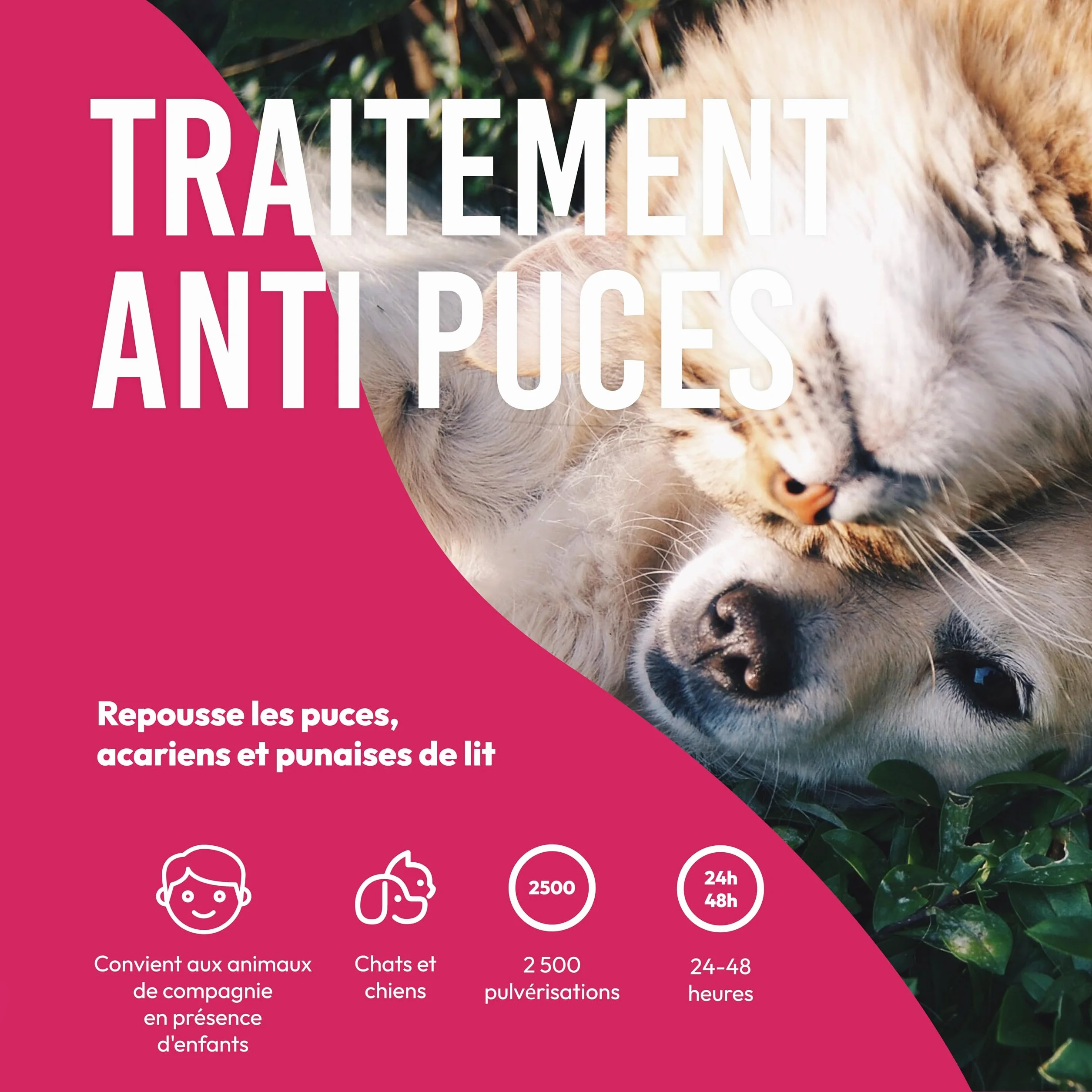 Petsly® Spray Anti Puces Chat & Chien 500ml Non Tachant Traitement Anti Puces Tiques Acariens Maison