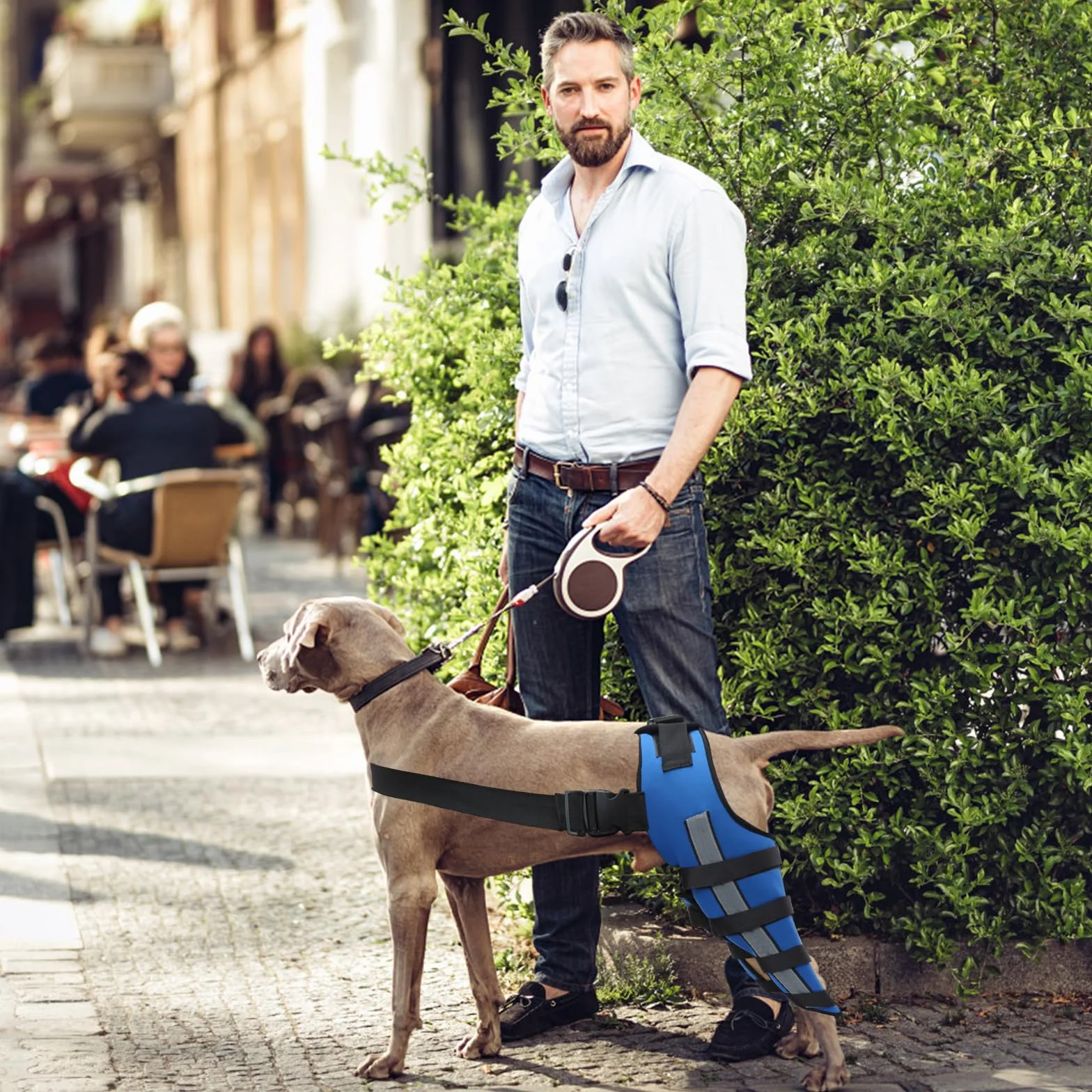 PETCUTE Genouillères Réfléchissantes Ajustables pour Chien - Support Articulaire Antichoc LCA/CCL, Protège-Coude XS Bleu