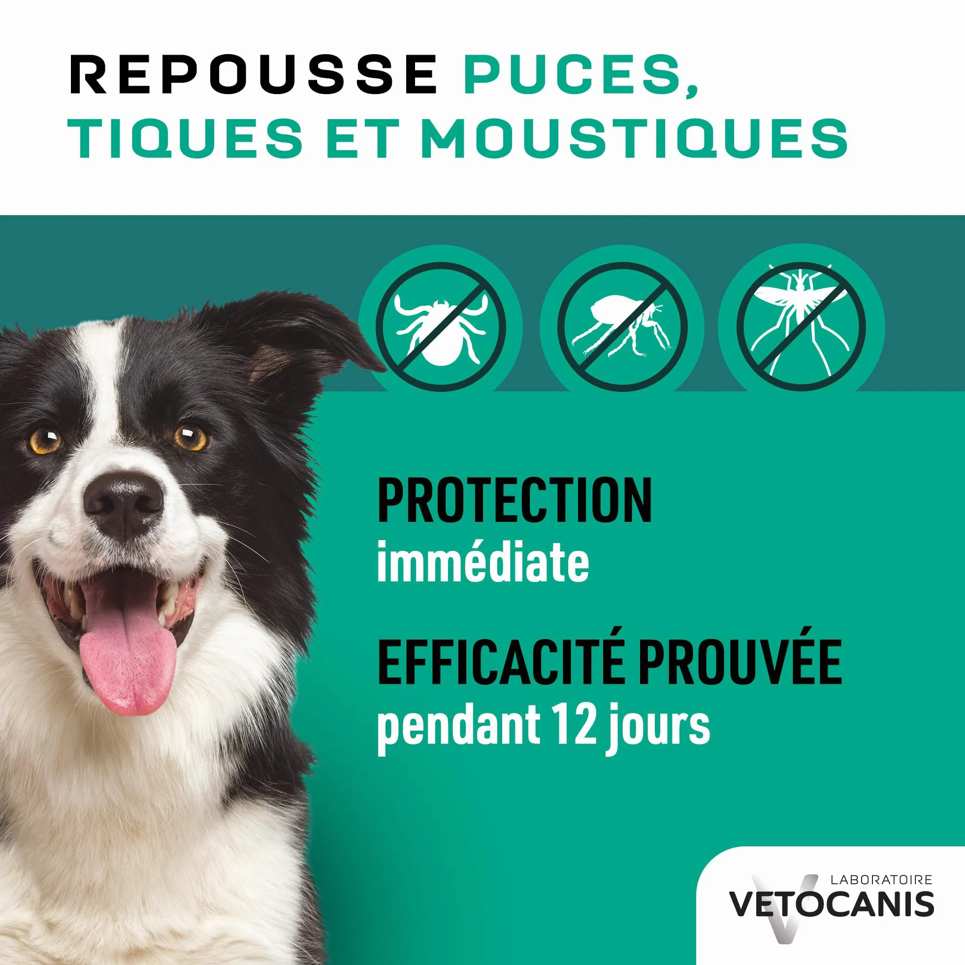 VETOCANIS, Spray Anti-puces et Anti-Tiques et Anti-Moustiques pour Chien, Spray Antiparasitaire 500ML, Répulsif Efficace 12 JOURS