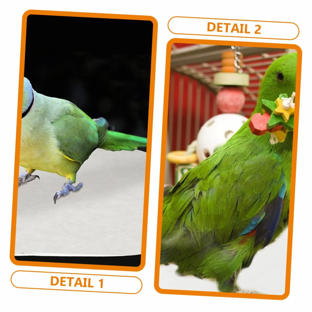 Toddmomy 100 Feuilles Coussins Absorbants pour Cage à Oiseaux Jetables Hygiéniques