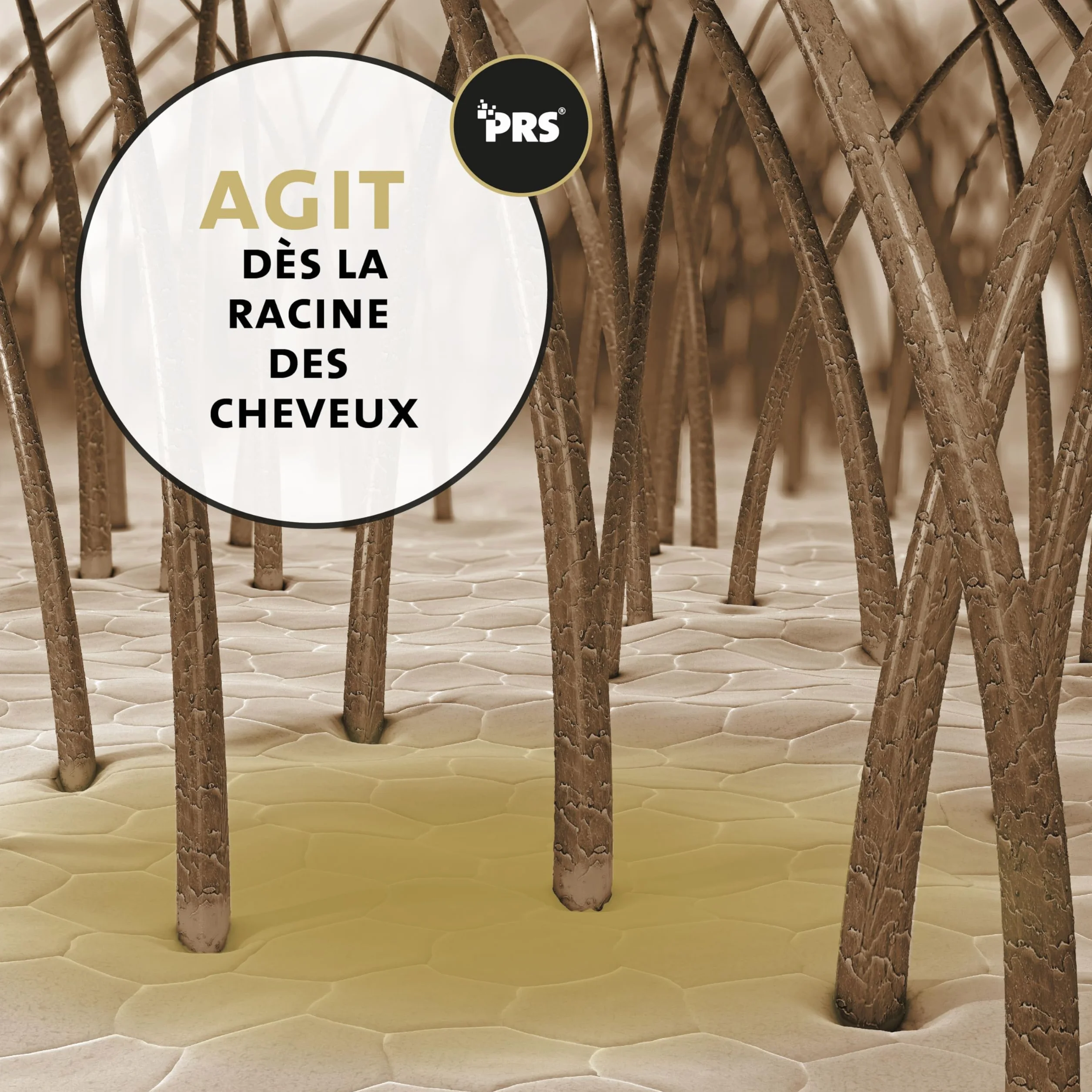 Peticare Shampoo Sec Naturel pour Chiens | Nettoyage sans Stress et Eau | Contre la saleté, Les odeurs | Soin du Pelage pour Tous Types de Poils | avec Huile d'argan et de Coco | petDog Health 2111