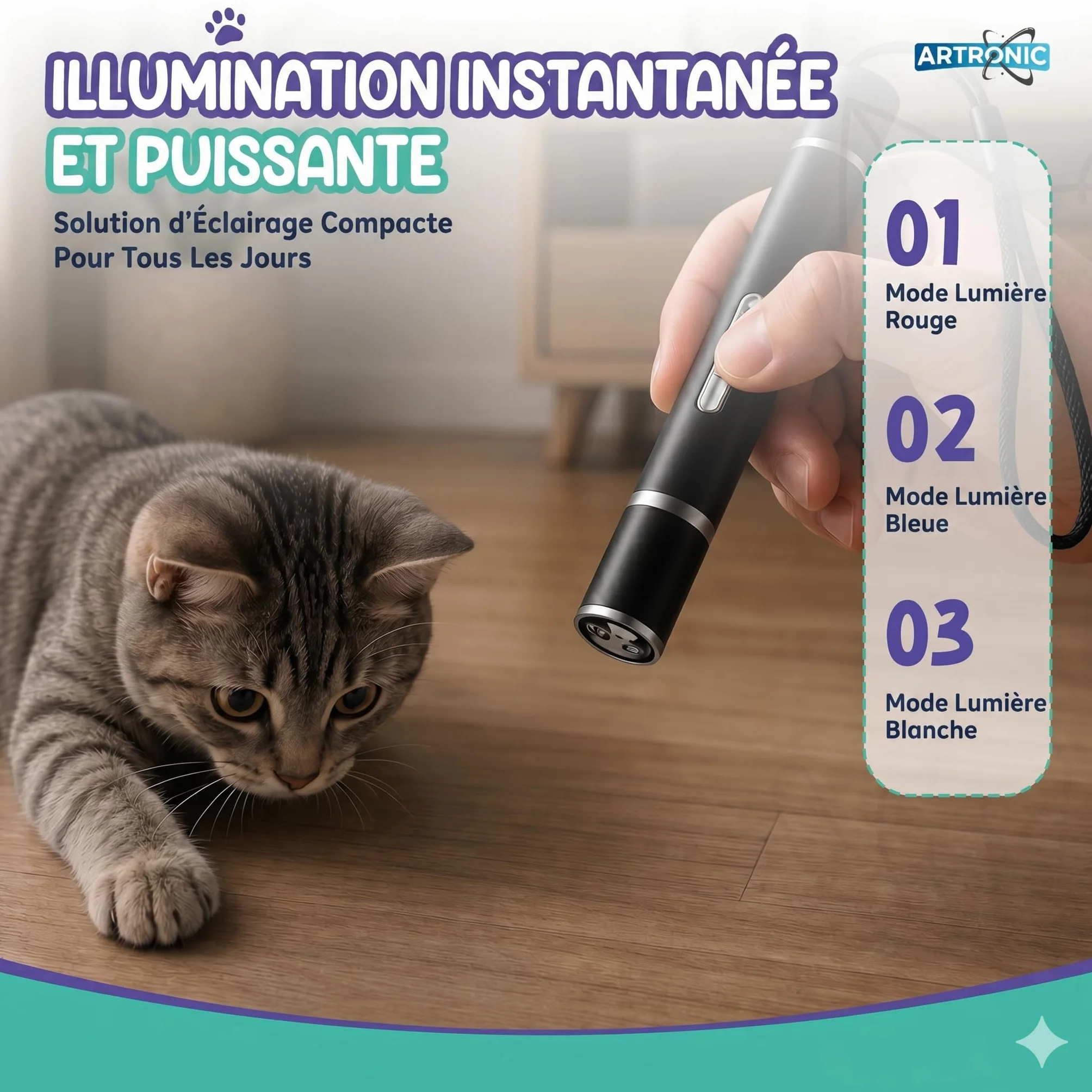 Jouet Chat Interactif LED Rechargeable USB pour Chat et Chien