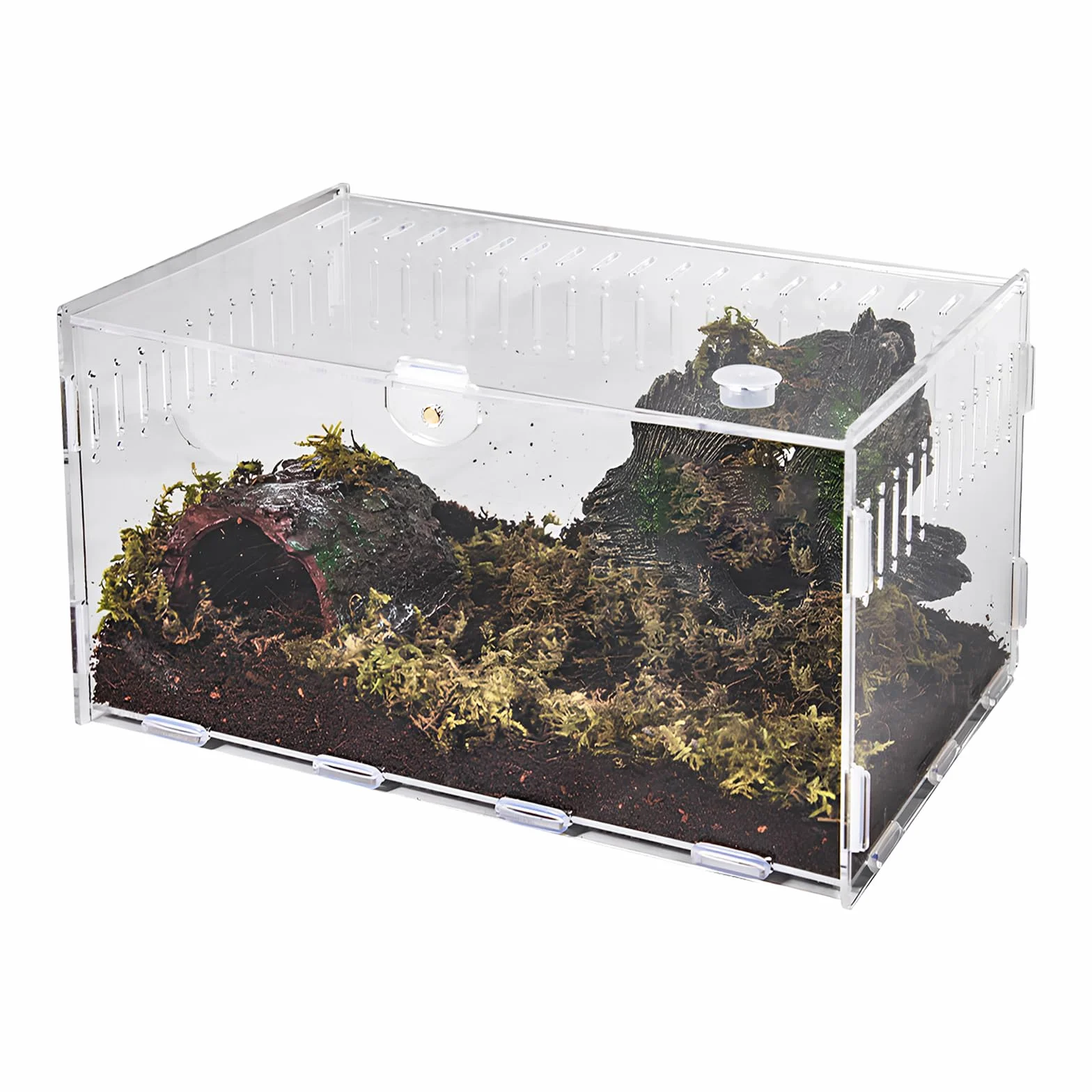 Terrarium à Escargots en Acrylique Transparent pour Reptiles et Amphibiens 20×12×12cm
