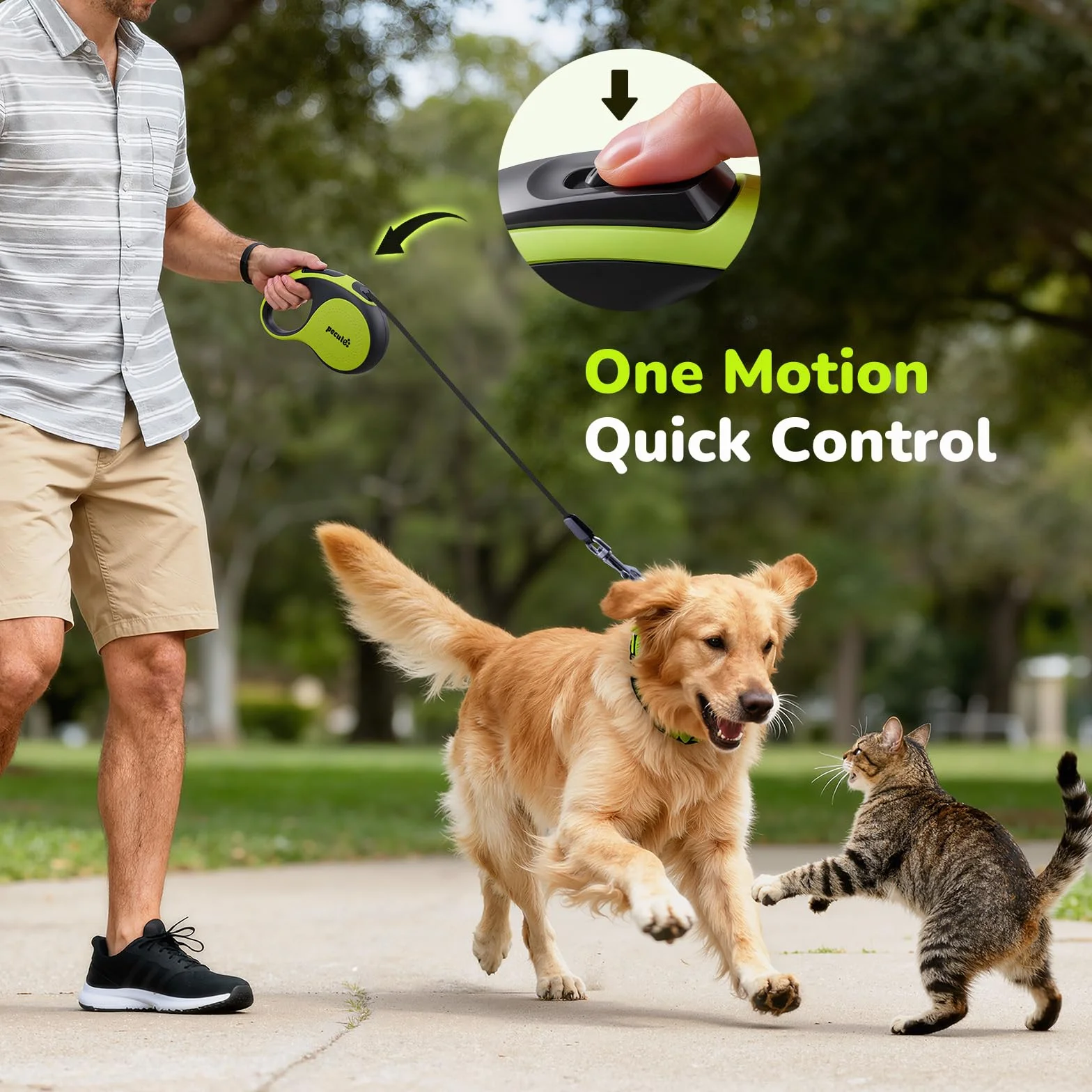 Pecute Laisse Chien Enrouleur 8m Rétractable pour Chiens jusqu'à 30Kg Ruban Nylon Réfléchissant