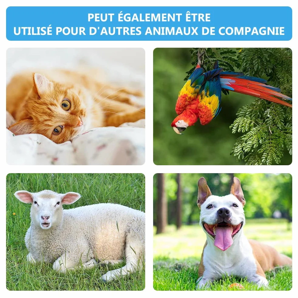 Clickers pour Chien,Clicker Training,Clicker Professionnel pour Doigt avec Bracelet Spirale,Entraînement Dressage pour Chiens Chats,Dressage pour Chien d'entraînement,Training Bouton Cliqueur,2PCS