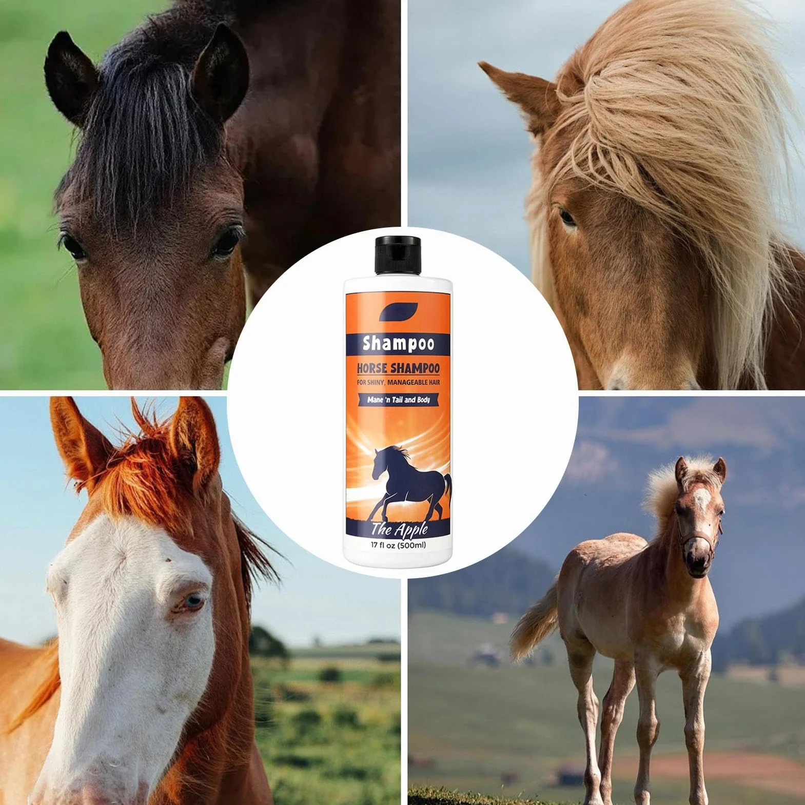 Shampooing pour crinière et queue de cheval 500 ML - Nettoyant nourrissant pour manteau