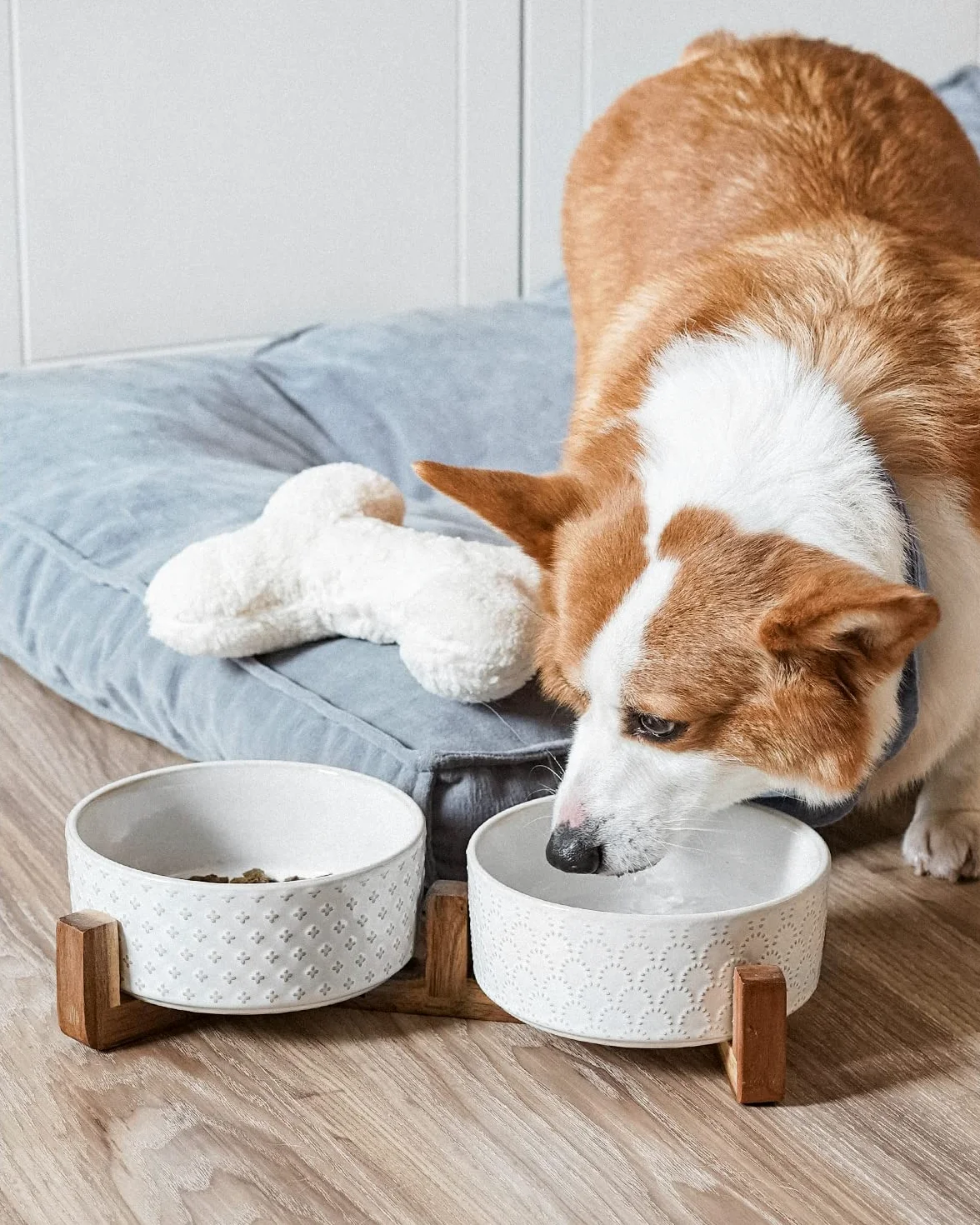 LE TAUCI Lot de 2 gamelles en céramique avec Support en Bois d'acacia, 3 Tasses pour Chat et Chien