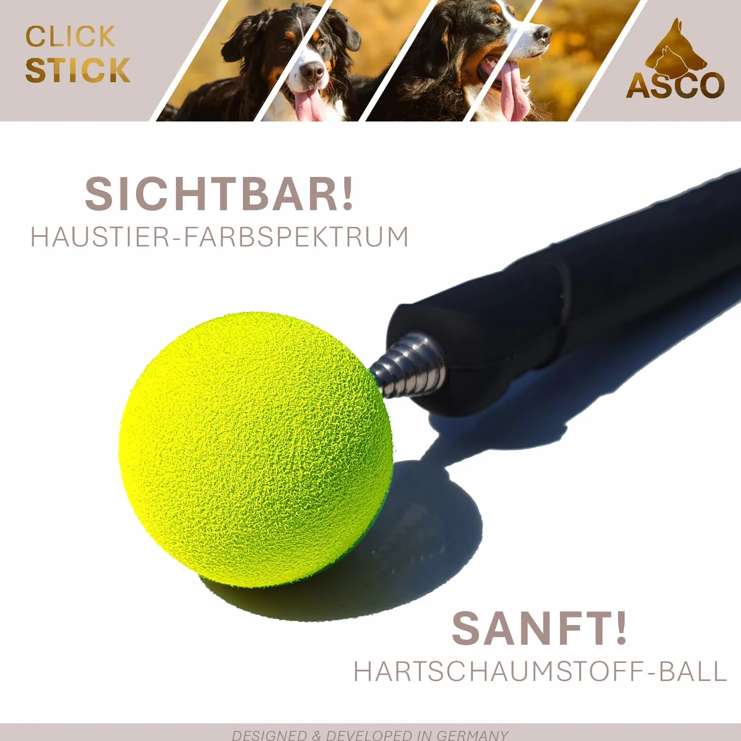 ASCO ClickStick®, Target Stick avec cliquet de qualité supérieur Amovible, Cible télescopique pour Chiens, Chats, Cheval cliquet de Dressage, Noir AC01TCS